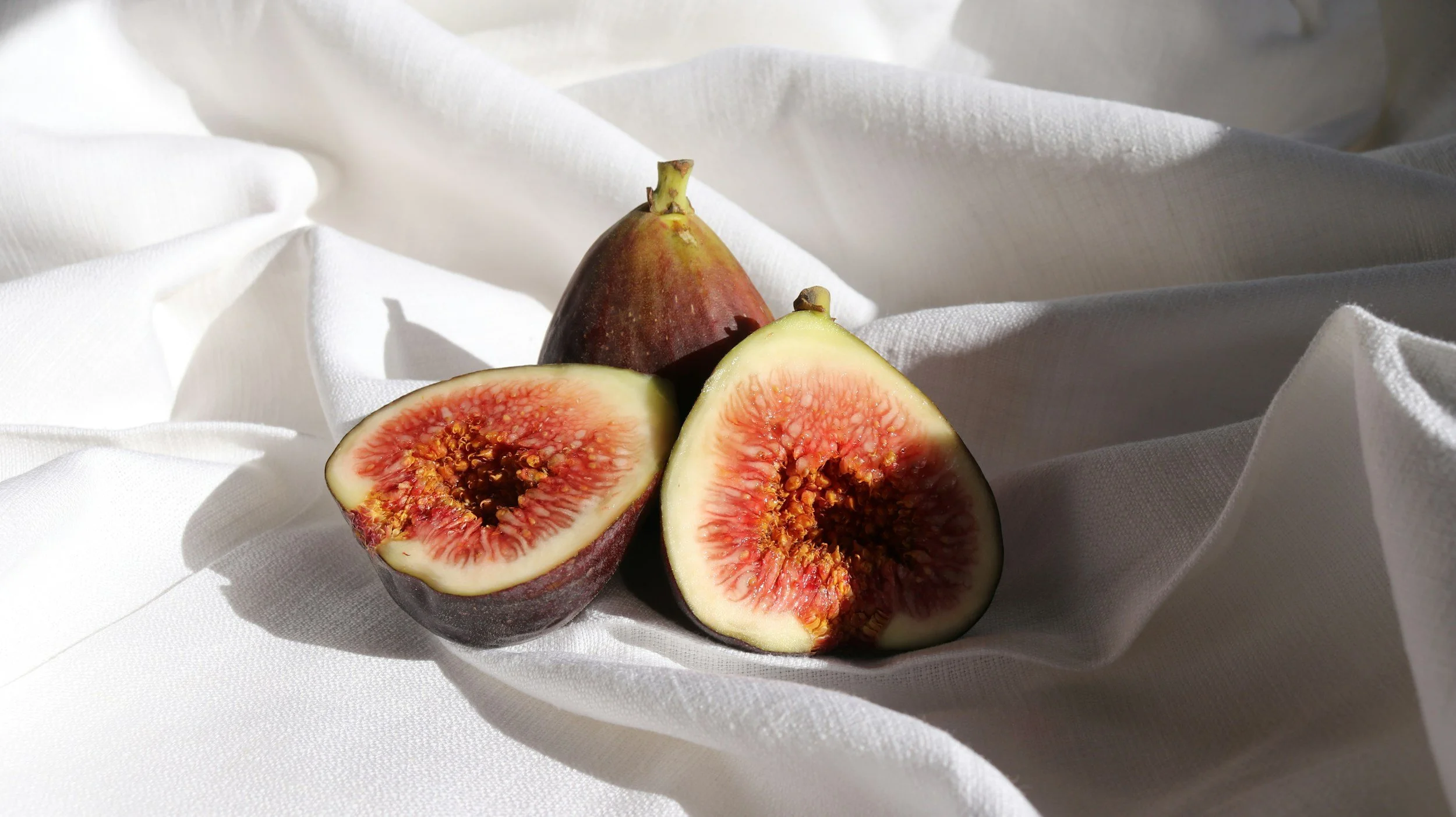 Seneca, Figs, and the Thing I Can't Call Self-Love