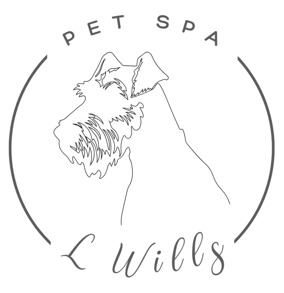 L Wills Pet Spa