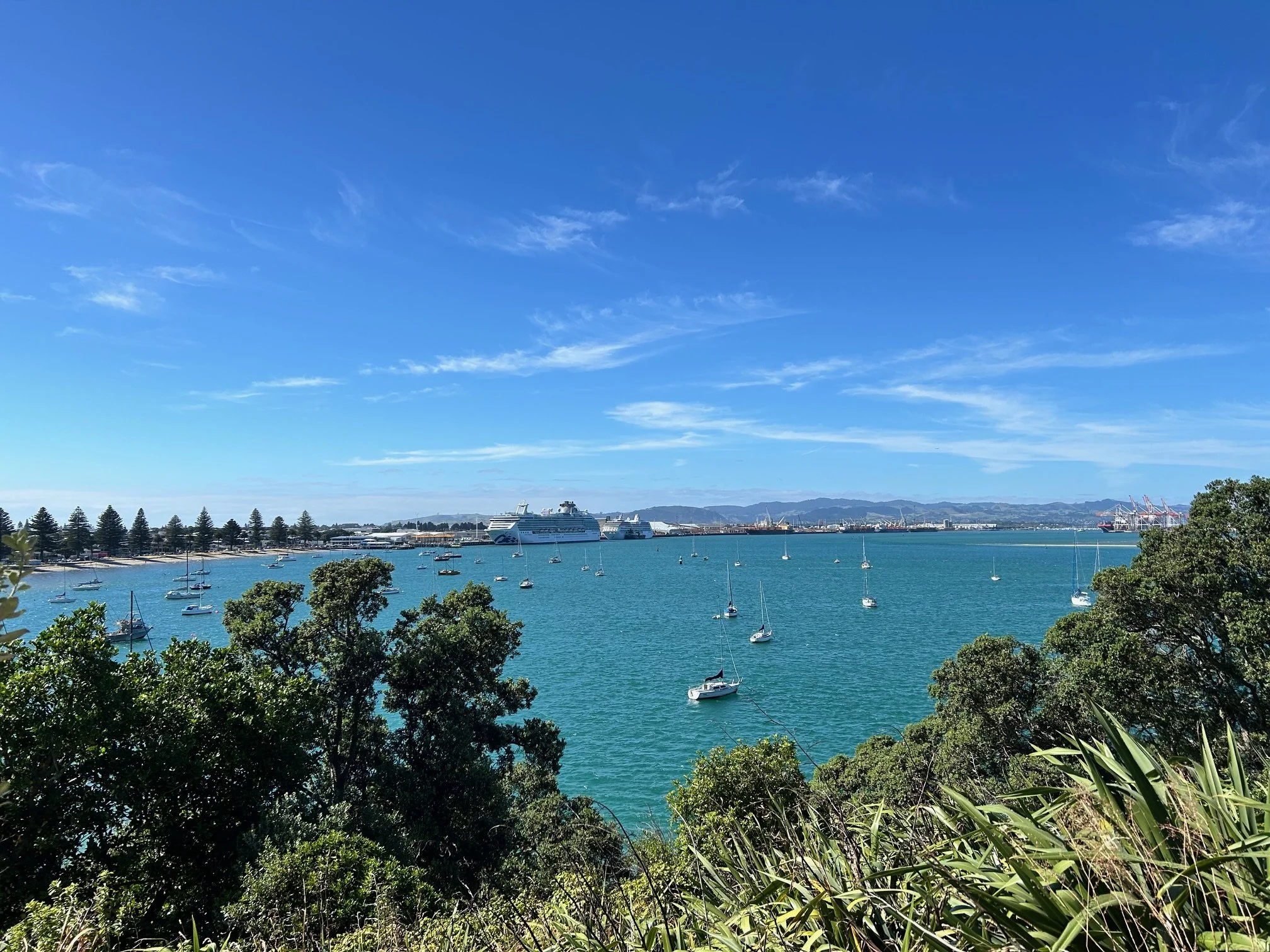 A harbor with multiple sailboats on turquoise water, large cruise ships in the distance, and a row of trees along the shoreline under a clear blue sky with a few wispy clouds.