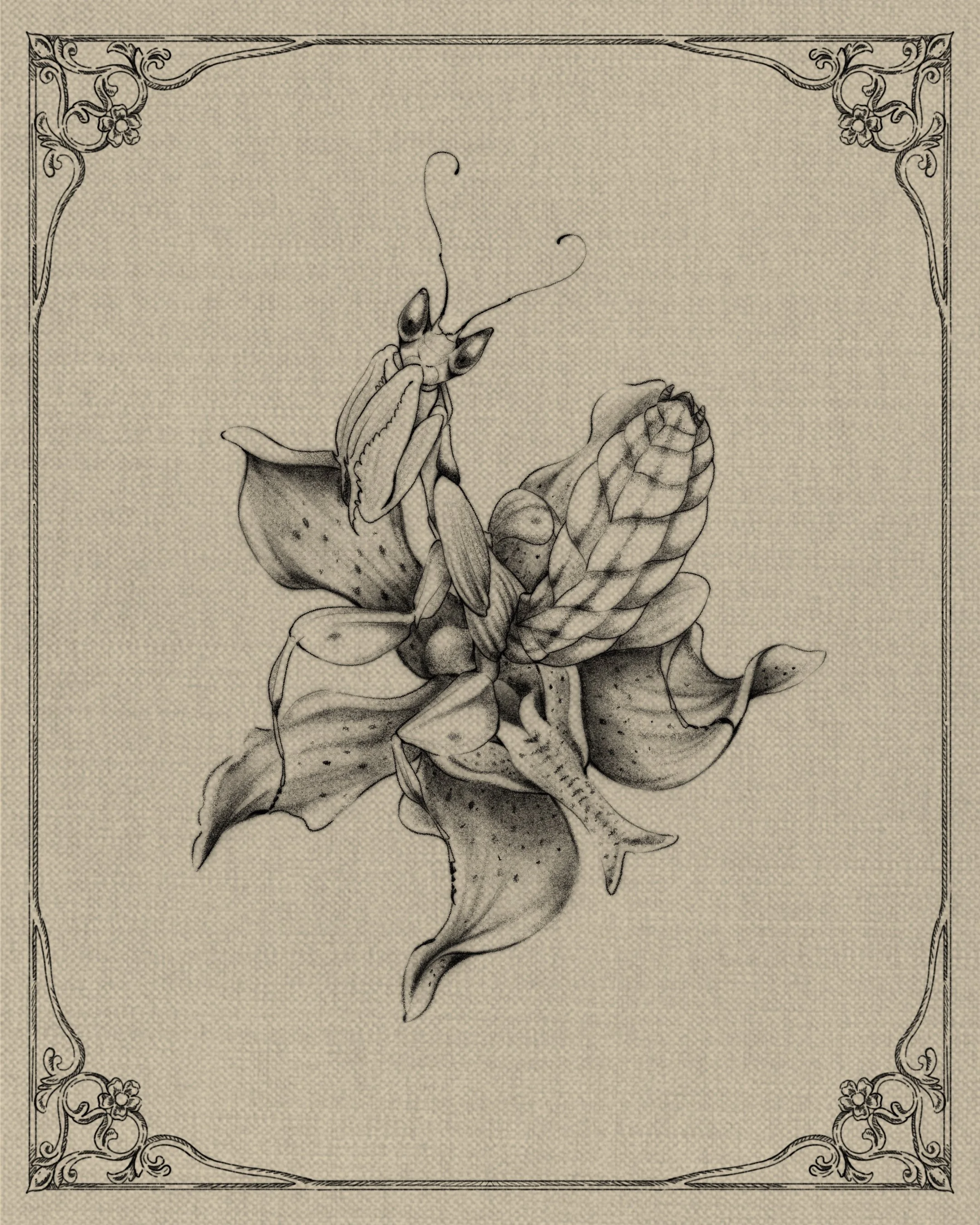 Ceci n'est pas une fleur