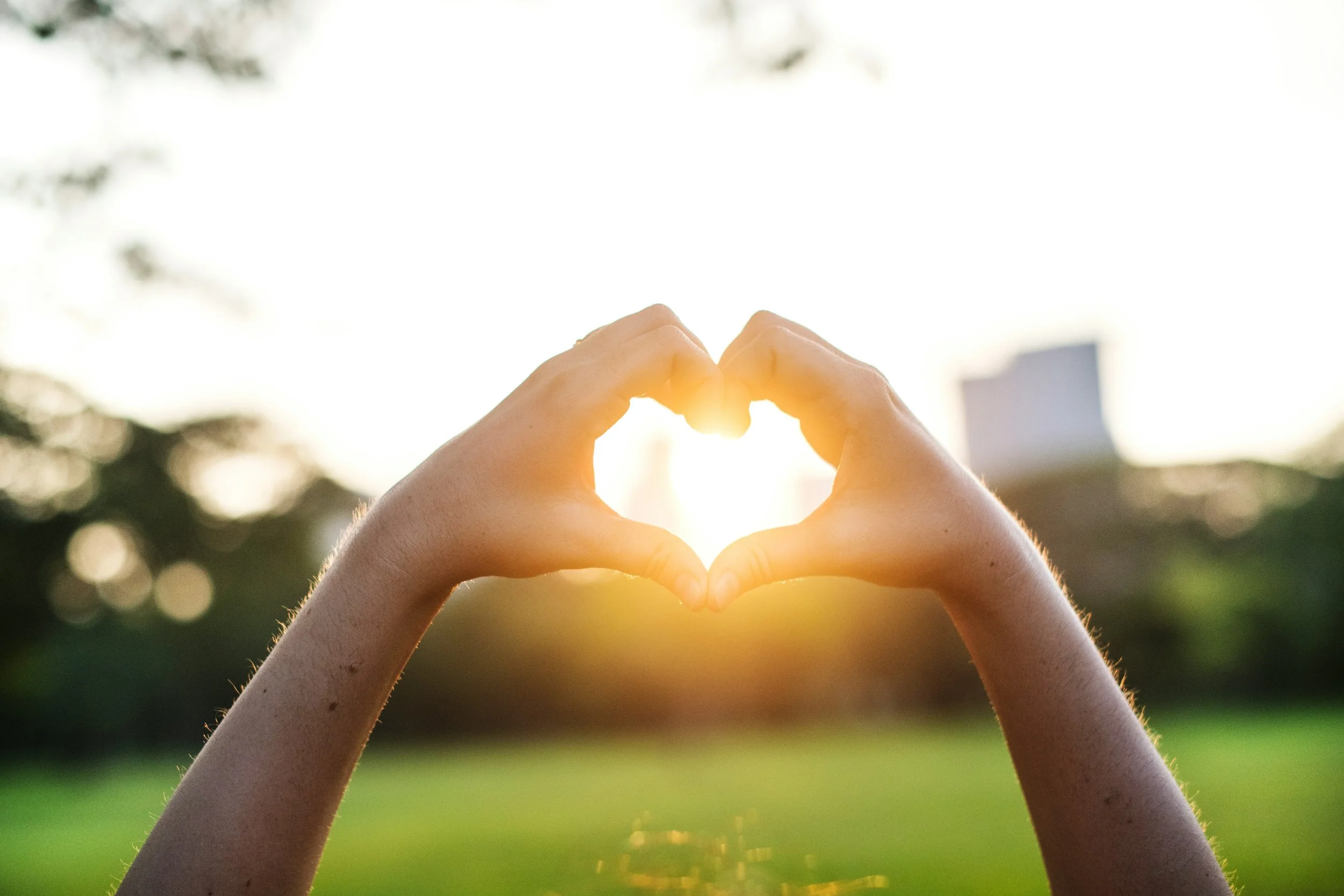This online single-session activity can boost hopefulness and sense of control