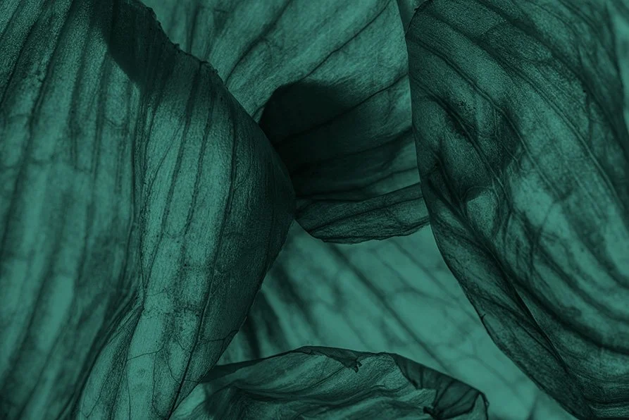 Close-up of greenish, textured, layered material resembling folded fabric or paper.
