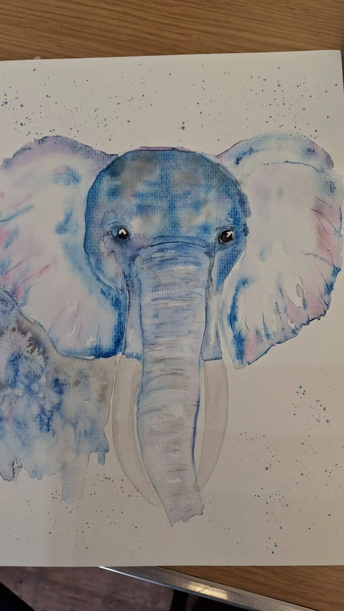 elephant 1.jpg