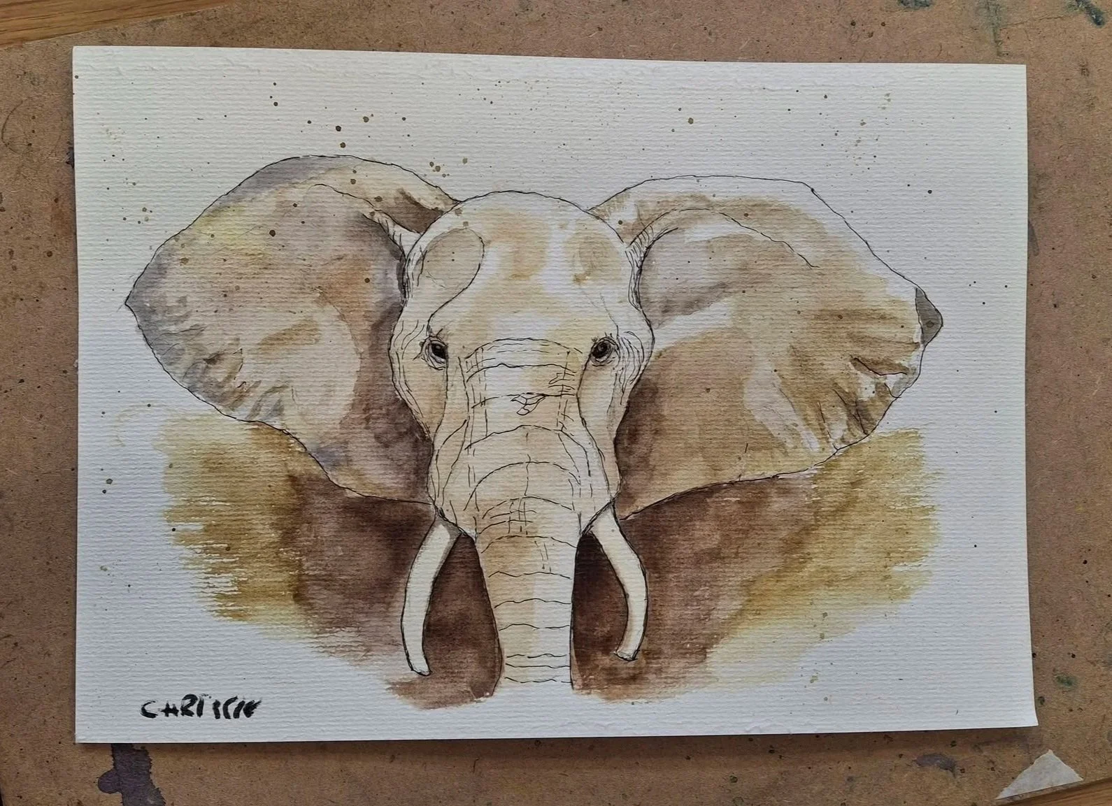 elephant.jpg