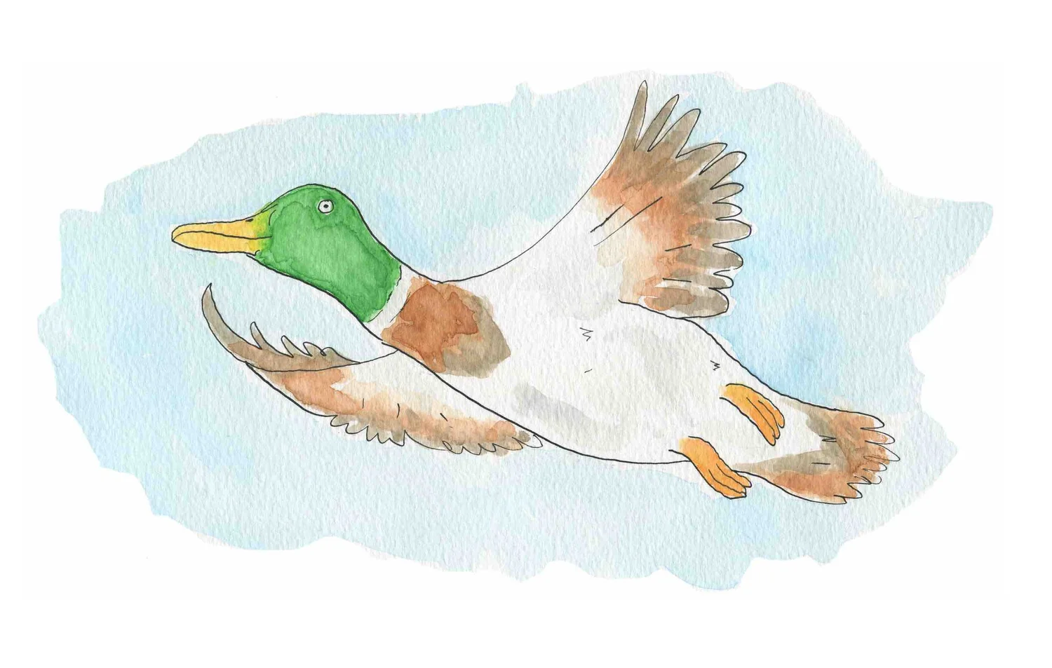 Tweedsmere Cottage | Author &amp; Illustrator, Margaret River WA