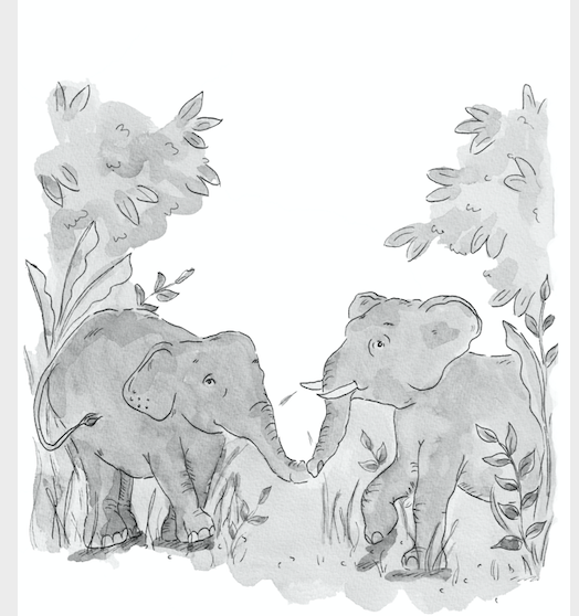 B & P linking trunks.png