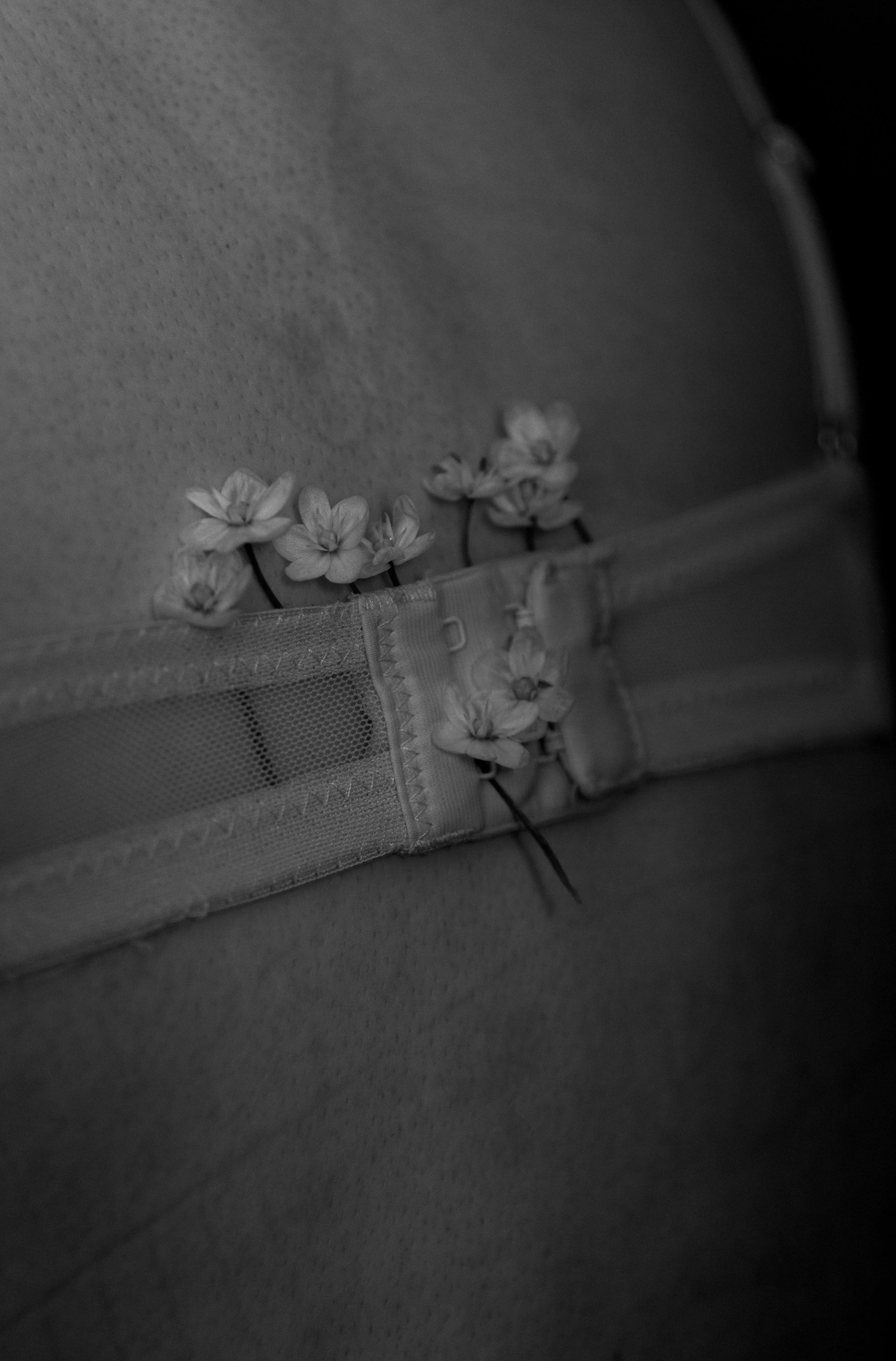 _DSC6527 copy bw.jpg