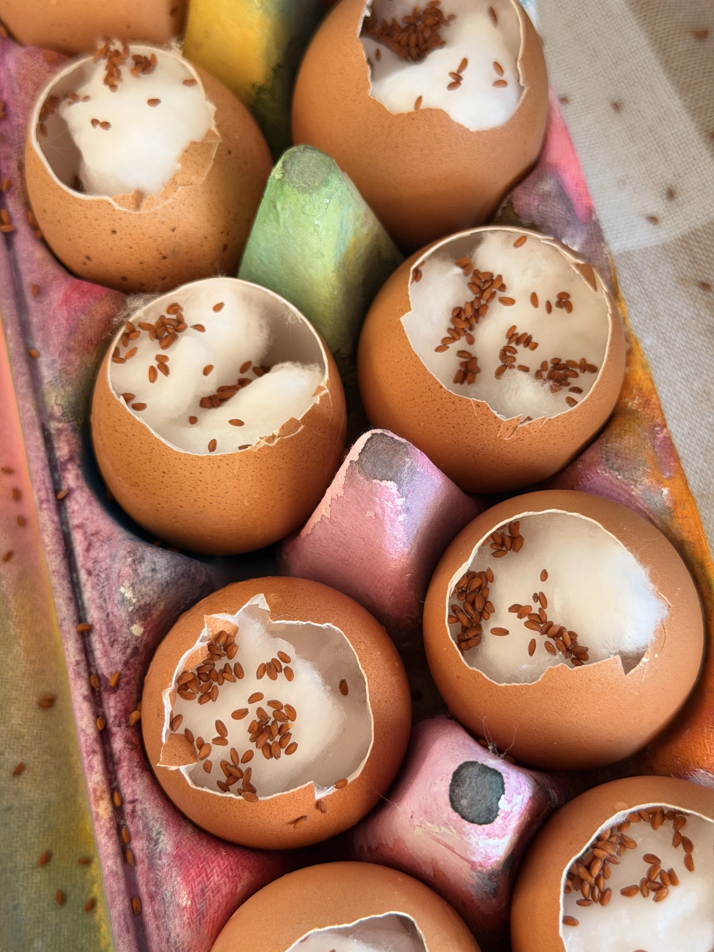 5 Ways to Recycle Eggshells
