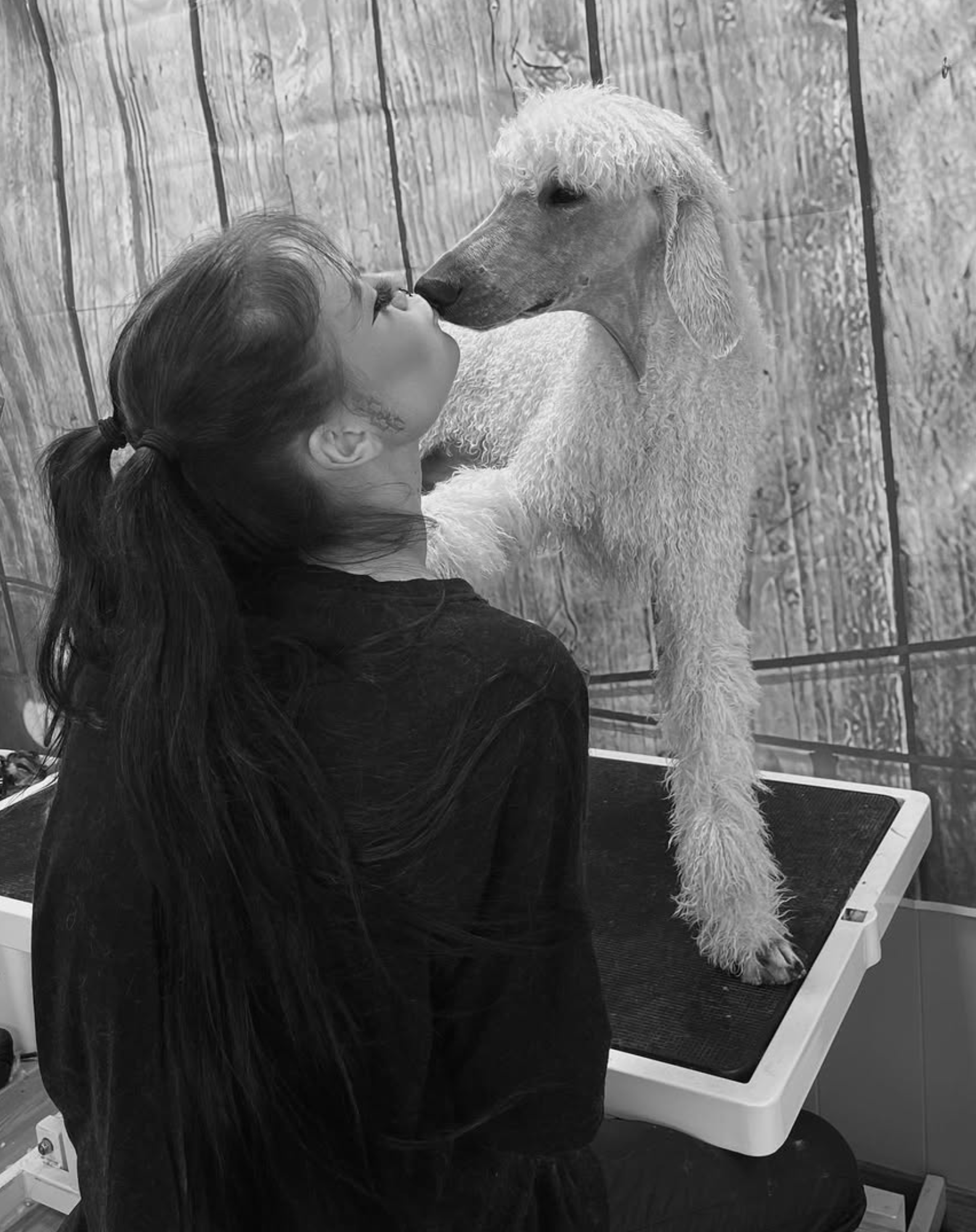 En person med mørkt hår i hestehale står foran en stor hund, som lener seg mot personen, og ser ut til å kysse den. Bakgrunnen består av en trevegg, og de står på et svart, avlangt trinn under en spesialdesignet enhet med en hvit kant.