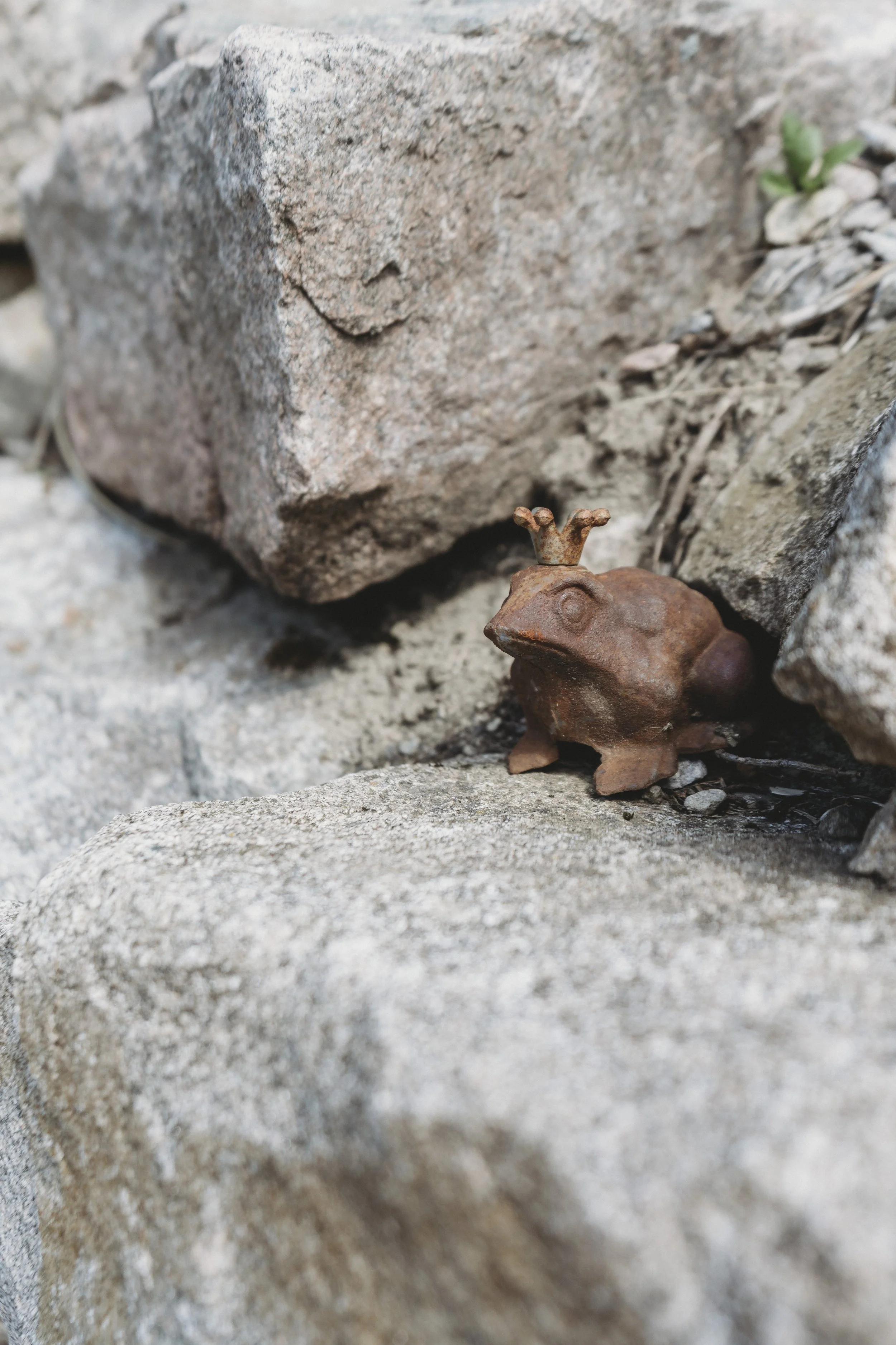 Ein kleiner, rostiger Metall-Frosch mit Krone sitzt auf einem Stein inmitten von großen, rauen Steinen und einem kleinen grünen Pflanzenzweig im Hintergrund.