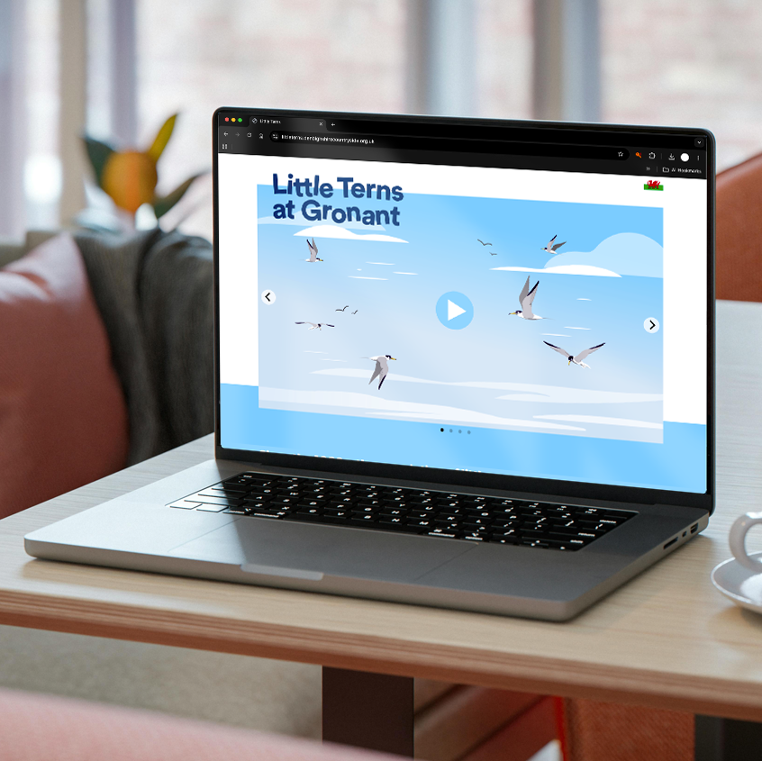 An image of a laptop on a table with the screen showing the website littleterns.denbighshirecountryside.org.uk