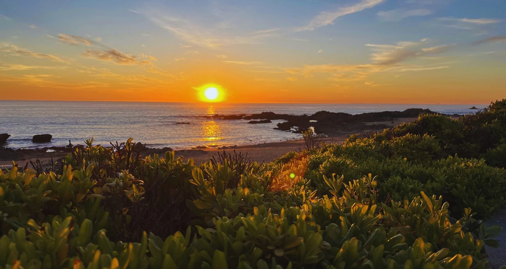 Sunset over the ocean with a partly cloudy sky, rocky shoreline, and green bushes in the foreground.
