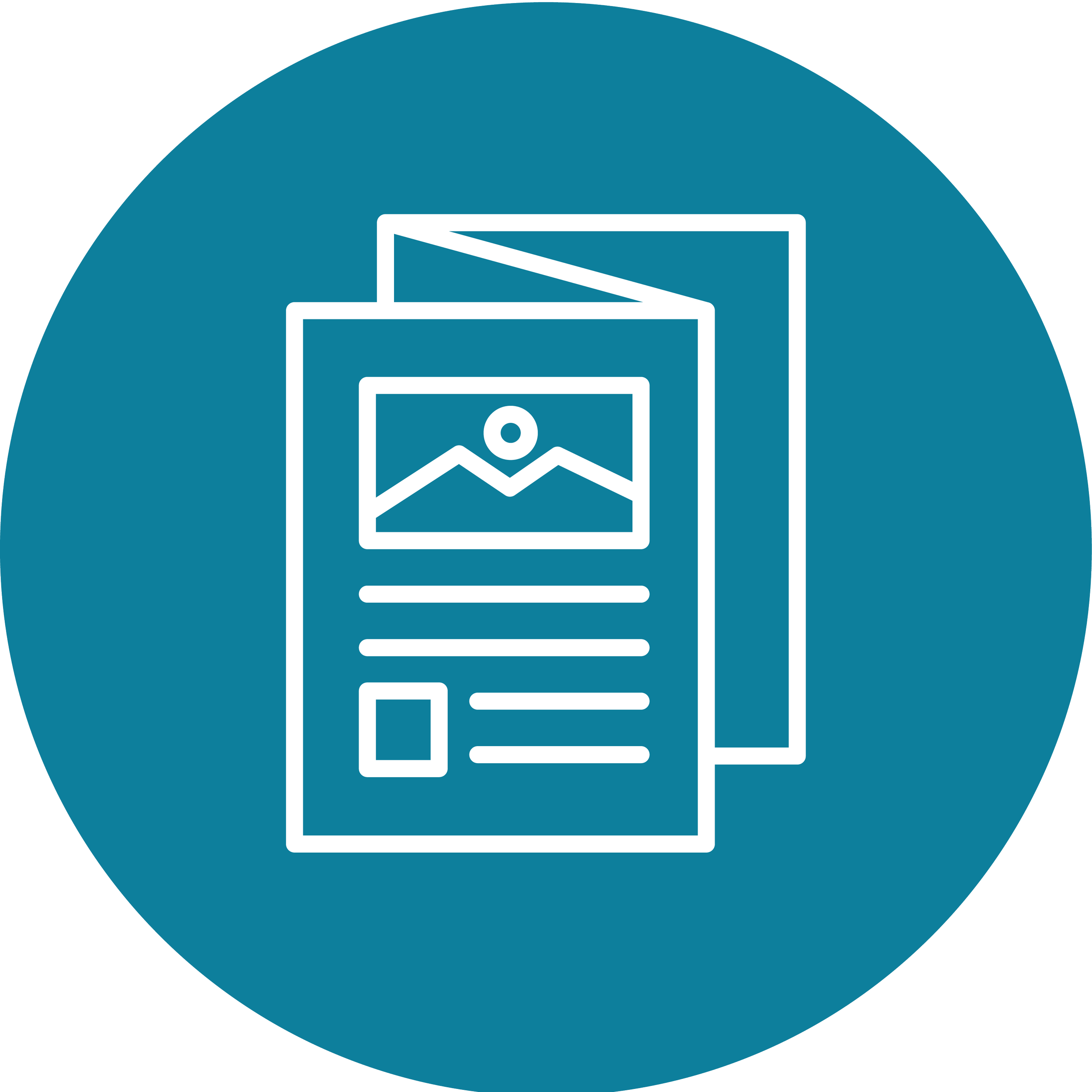 Newsletter icon
