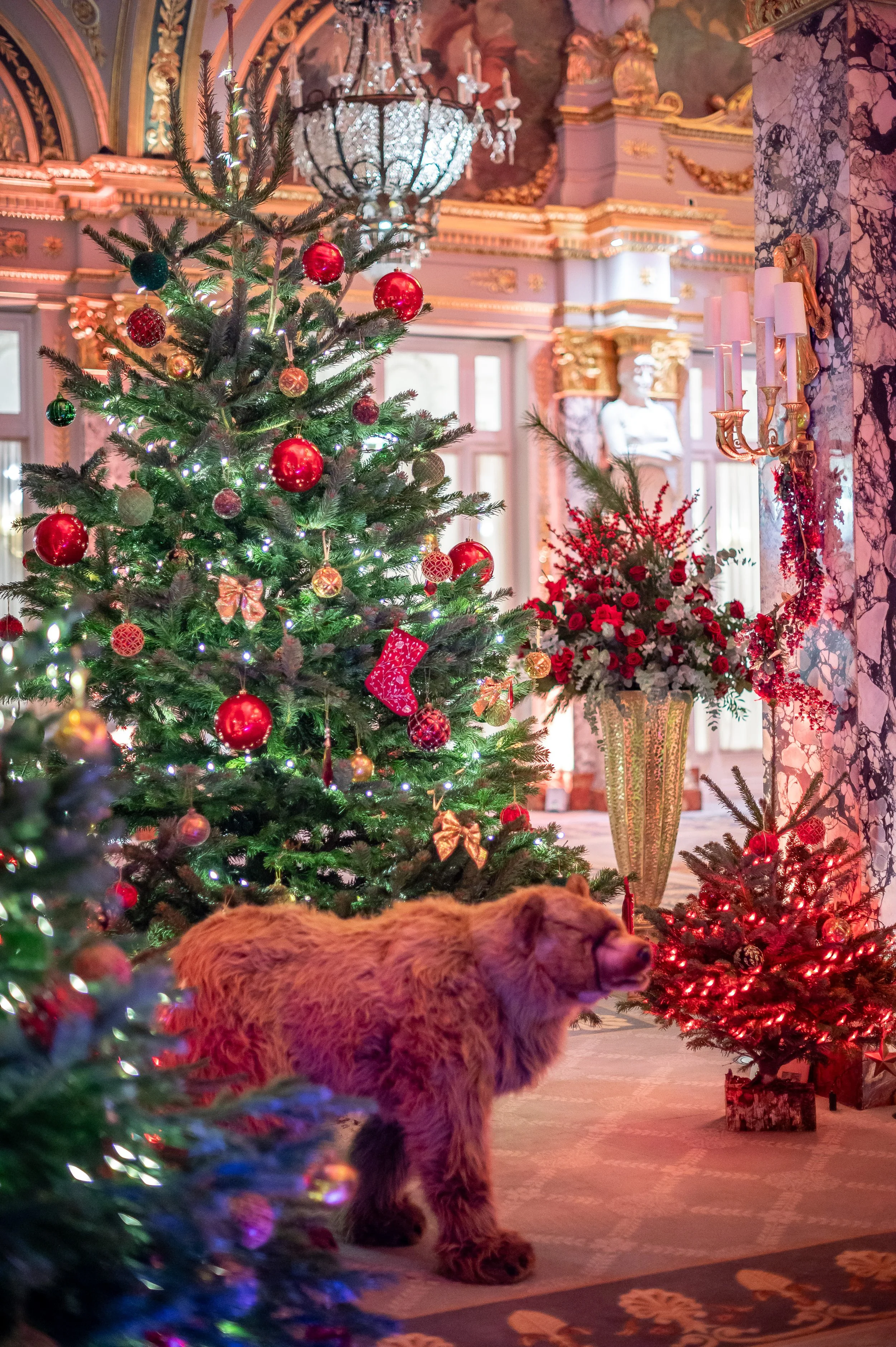 251219_imagIN_Agency_0081.jpg