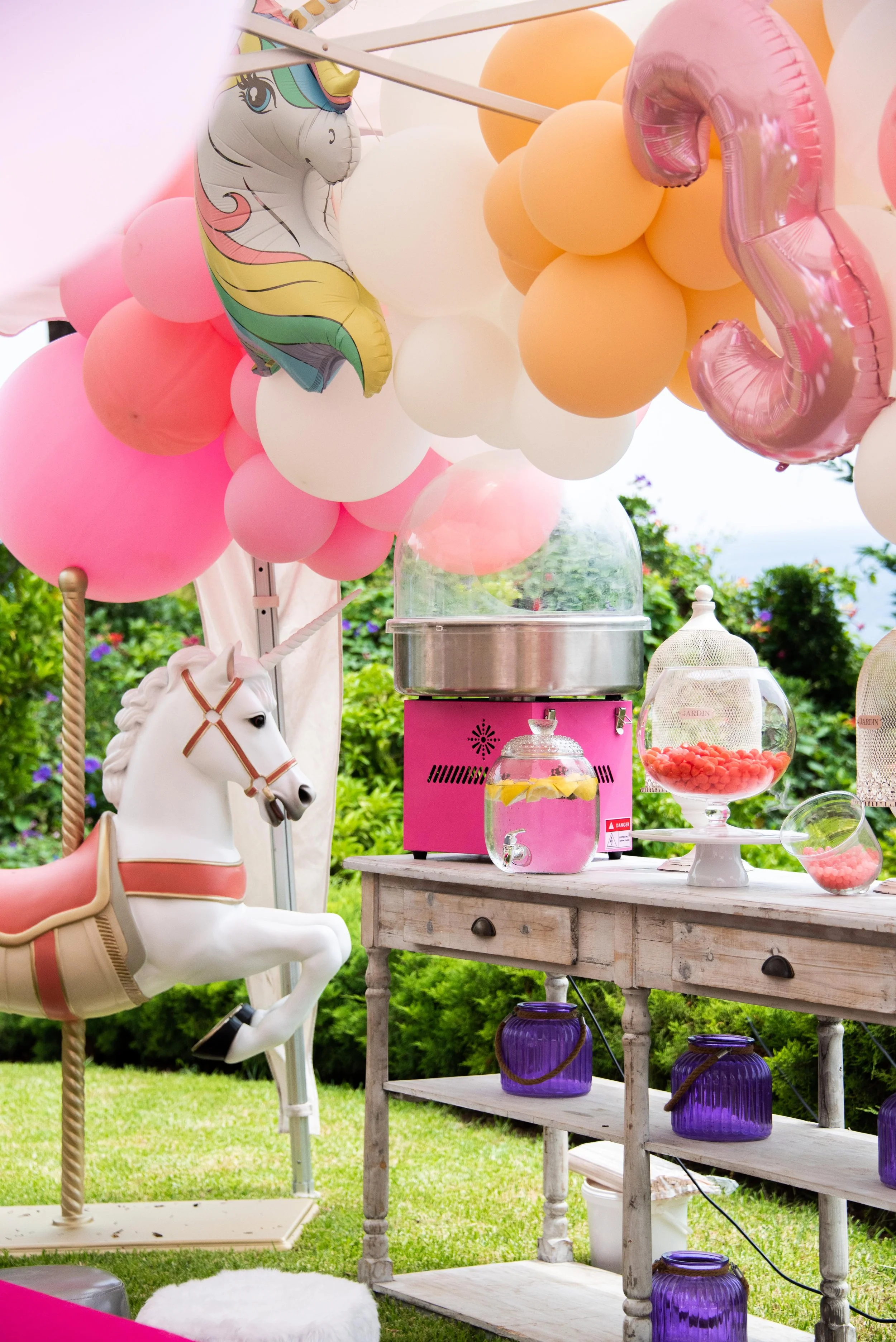 <strong>ANNIVERSAIRE LICORNE</strong> <br> CAP D'AIL