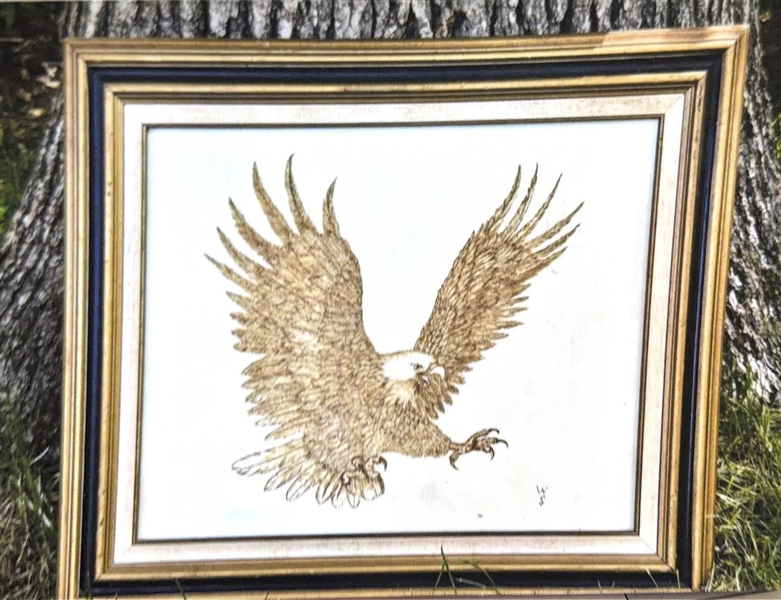 Eagle in Flight