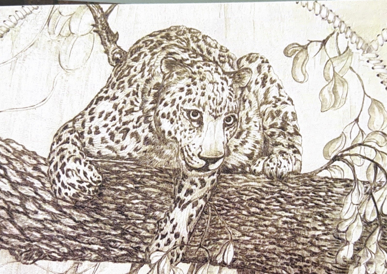 Predation