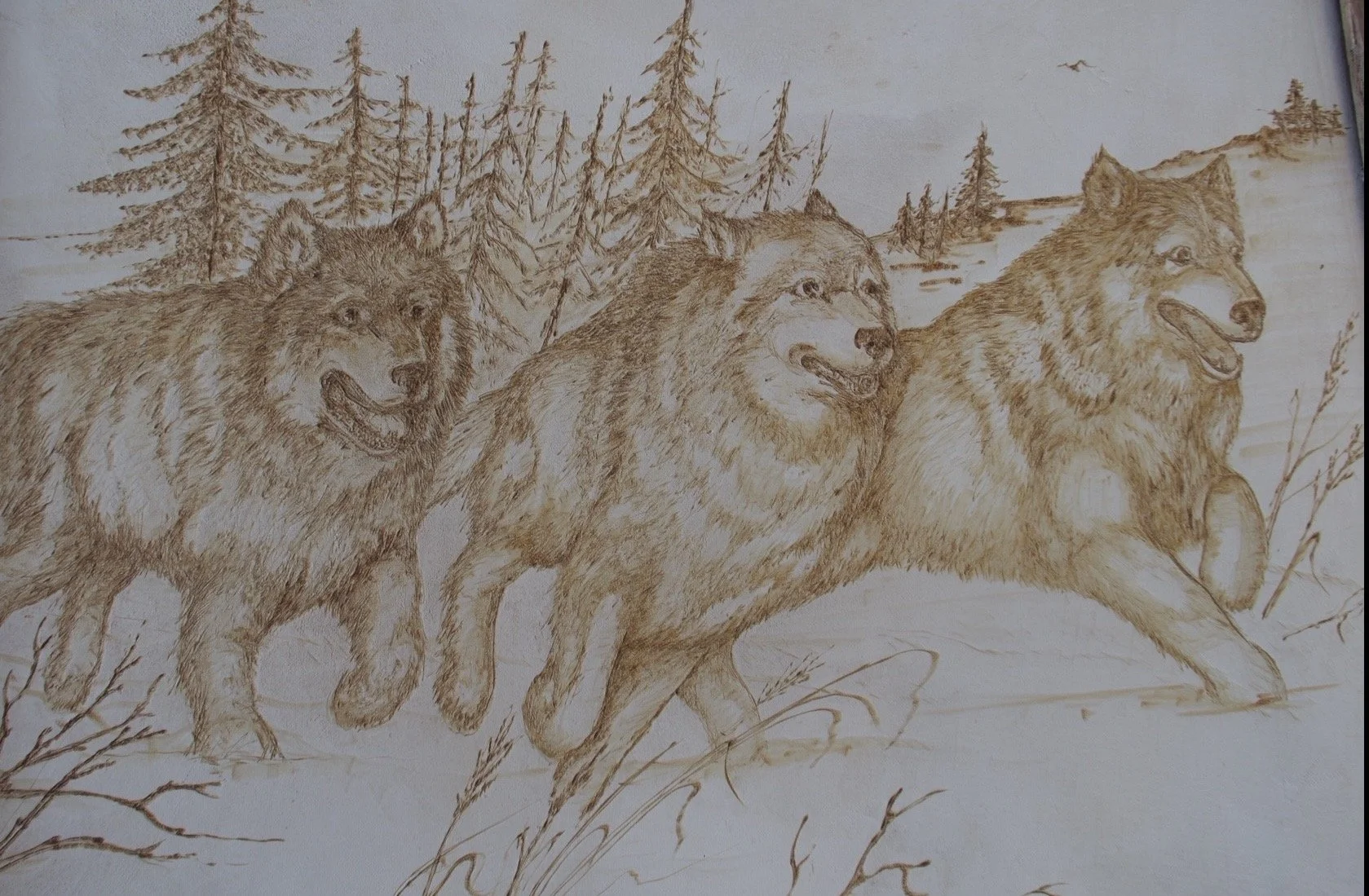 Tres Lobos