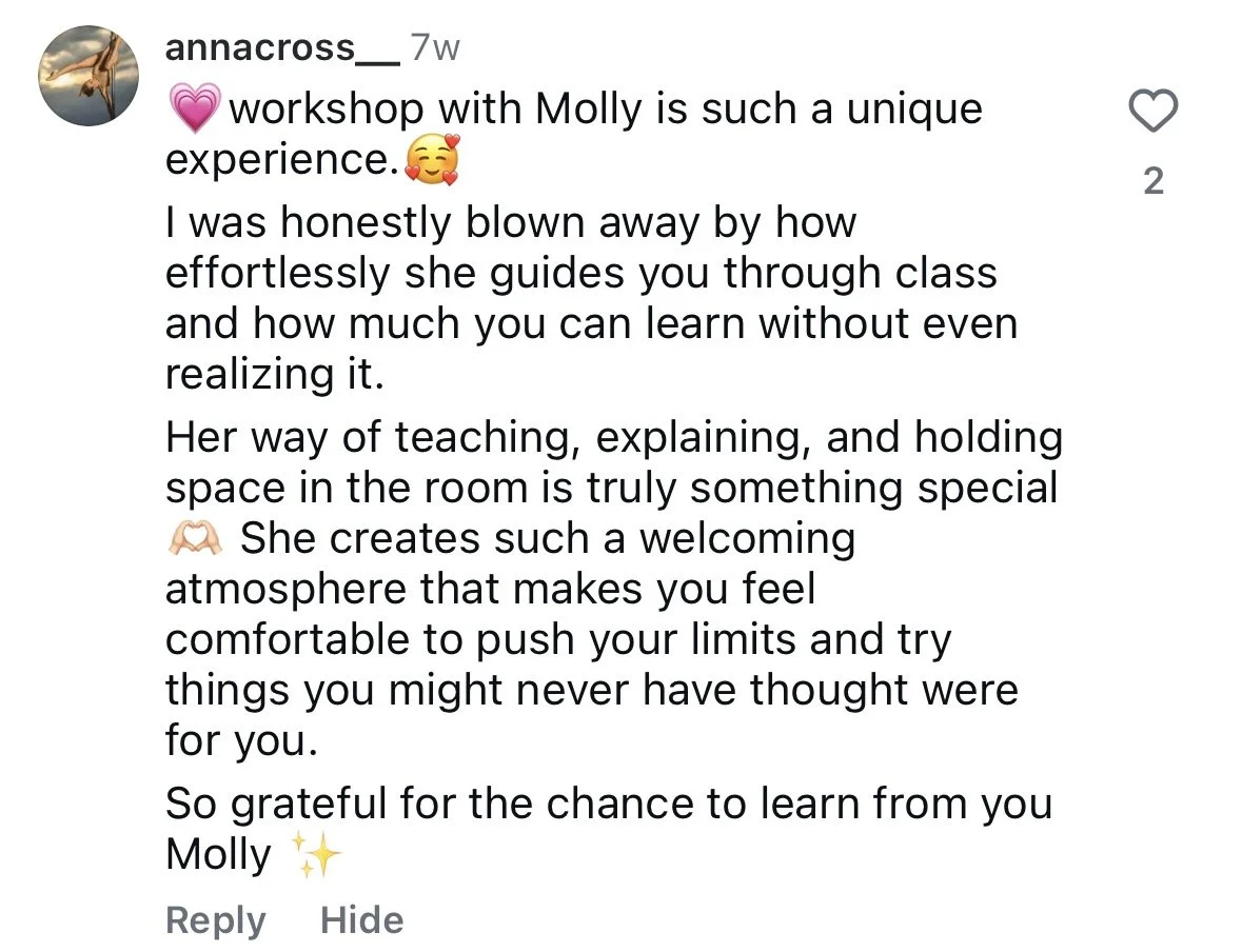 Screenshot of a social media comment praising Molly for her teaching style during a workshop, describing her as welcoming, clear, and inspiring.