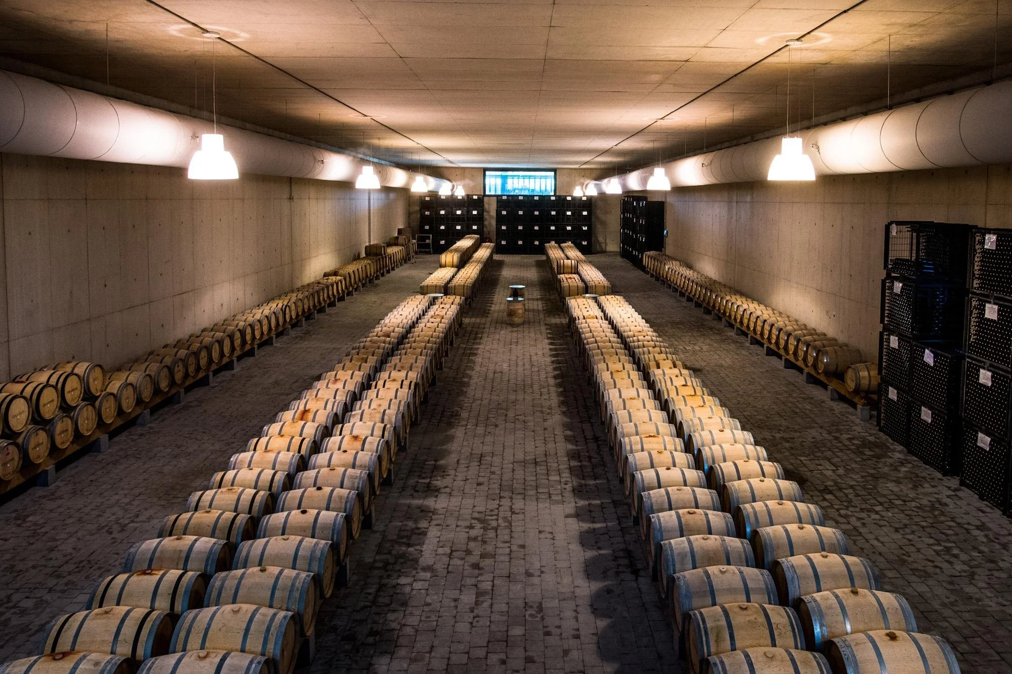 A film and photo location in Portugal from walnut films, Rows of wine barrels in a cellar with a clean, industrial design, illuminated by hanging lights and a small window at the back.