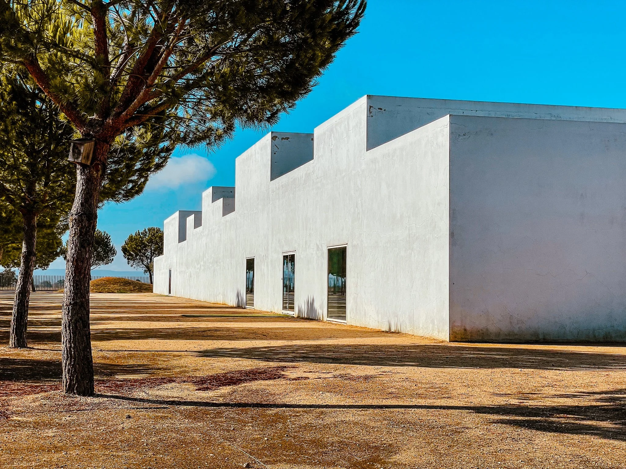 A film and photo location in PortugA modern white building with minimal design, flat roof, and small windows, situated outdoors under a clear blue sky. There are tall pine trees nearby casting shadows on the ground, and a dirt area in the foreground.
