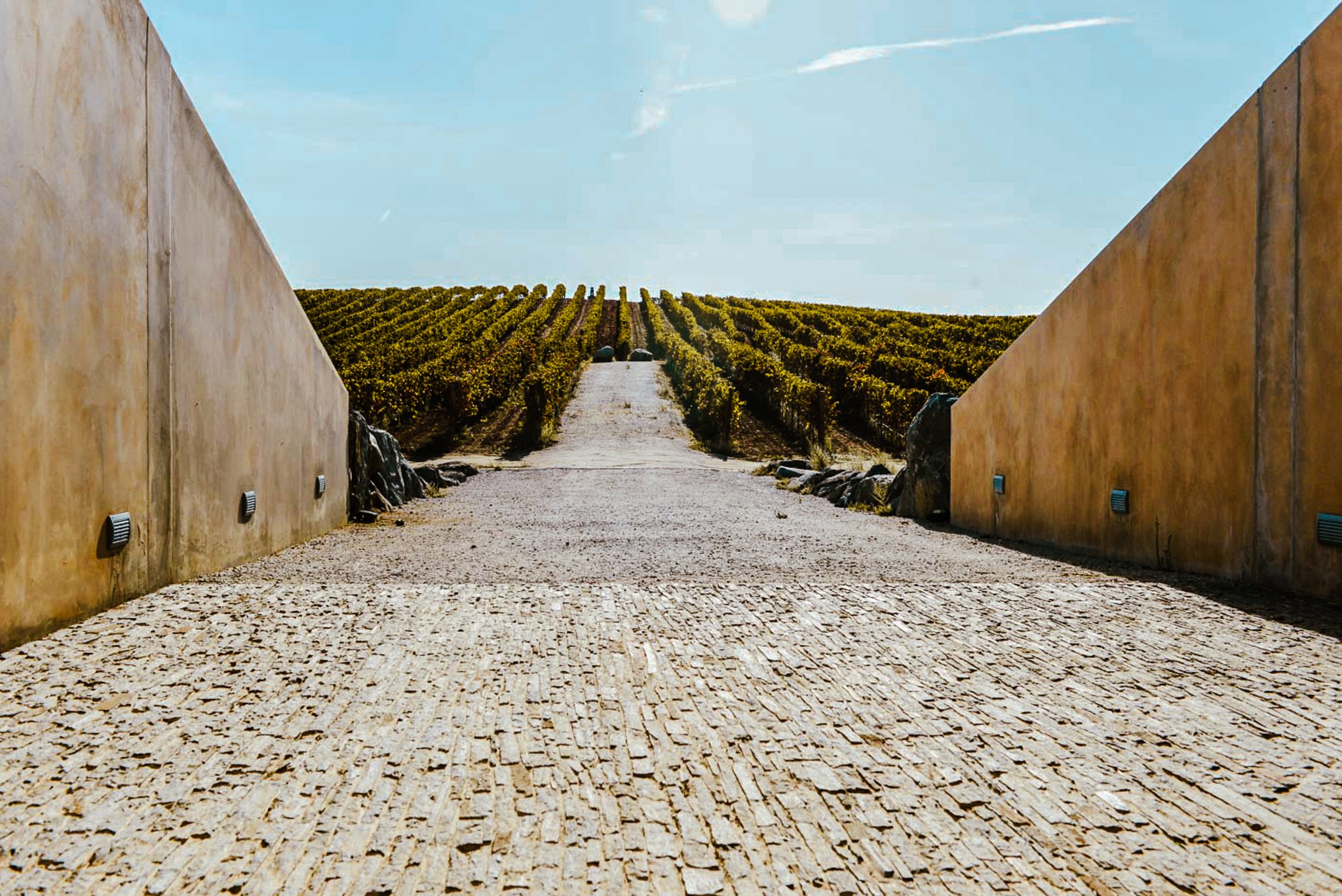 A film and photo location in Portugal from walnut films, A cobblestone walkway with tall stone walls on each side leading to a vineyard with rows of grapevines under a clear blue sky.