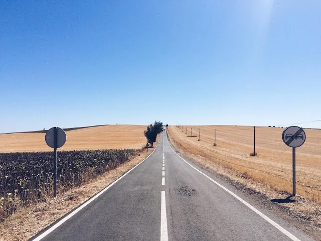 A film and photo location in Portugal from walnut films, A rural paved road running through a golden field under a clear blue sky, with road signs on either side and a single tree in the distance.