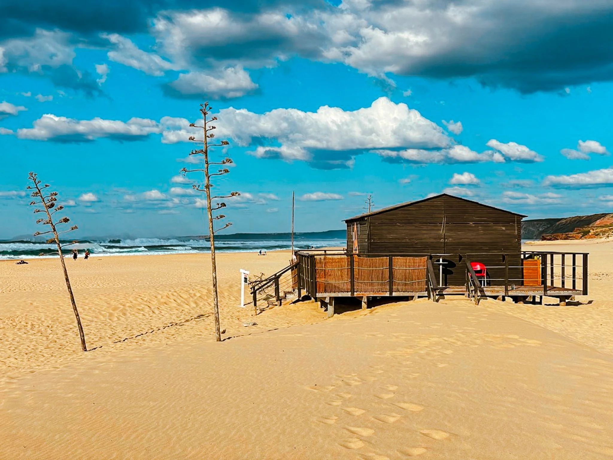 A film and photo location in Portugal from walnut films, A sandy beach with a wooden structure, some leafless trees, and the ocean in the background under a cloudy sky.