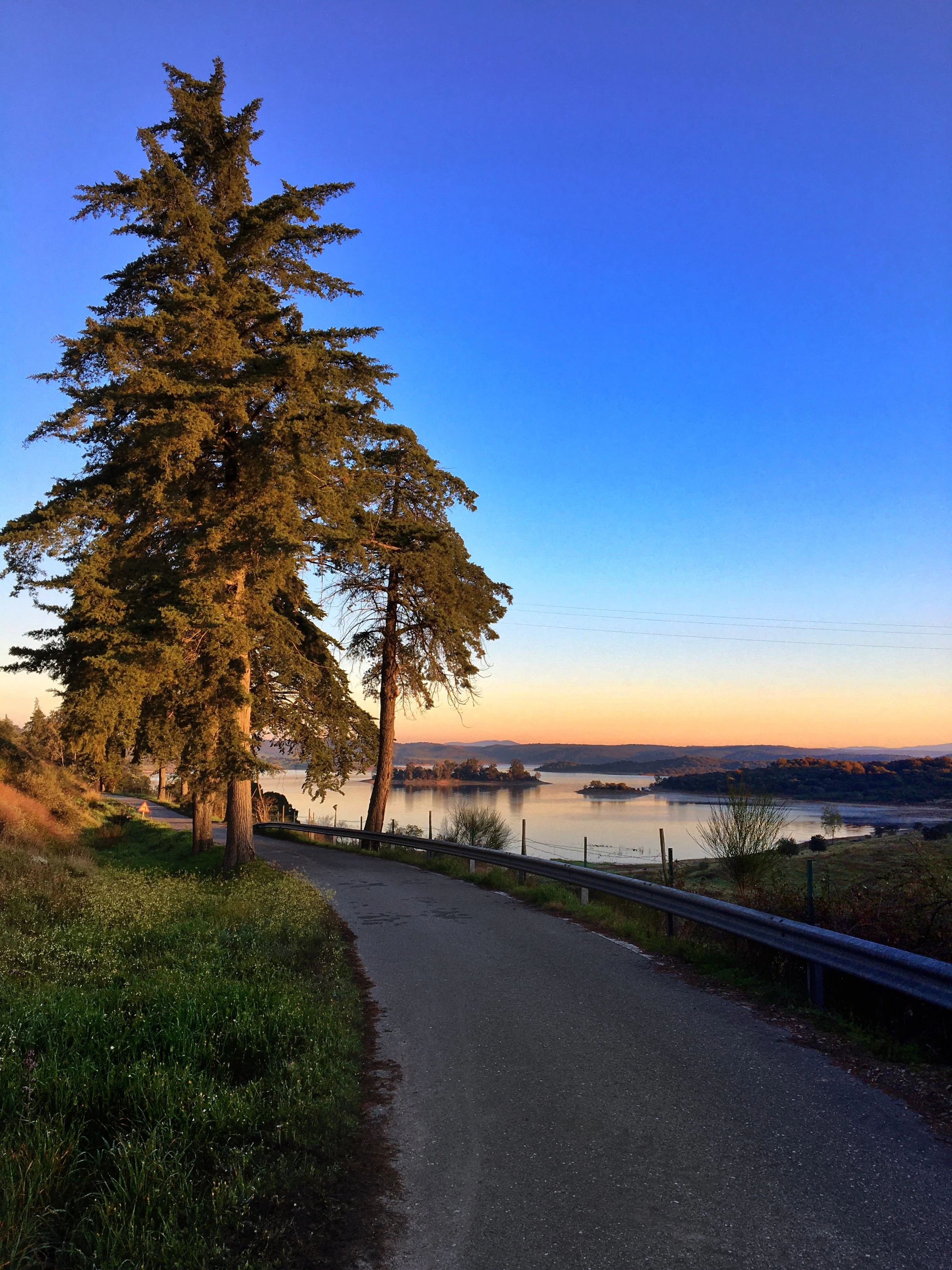 A film and photo location in Portugal from walnut films, A winding paved path alongside a grassy area with trees, overlooking a river and distant hills during sunset.