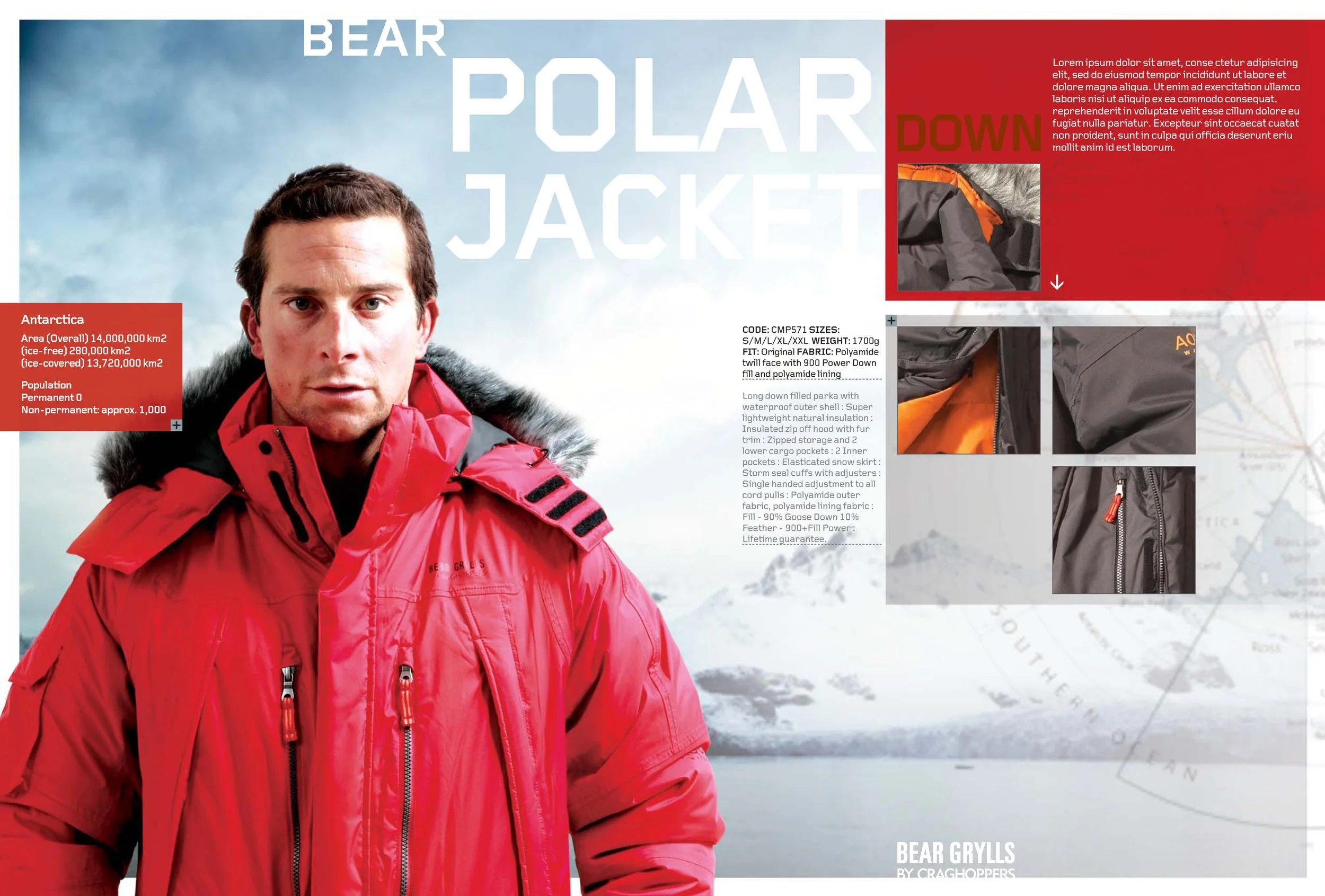 BEAR-3 copy.jpg