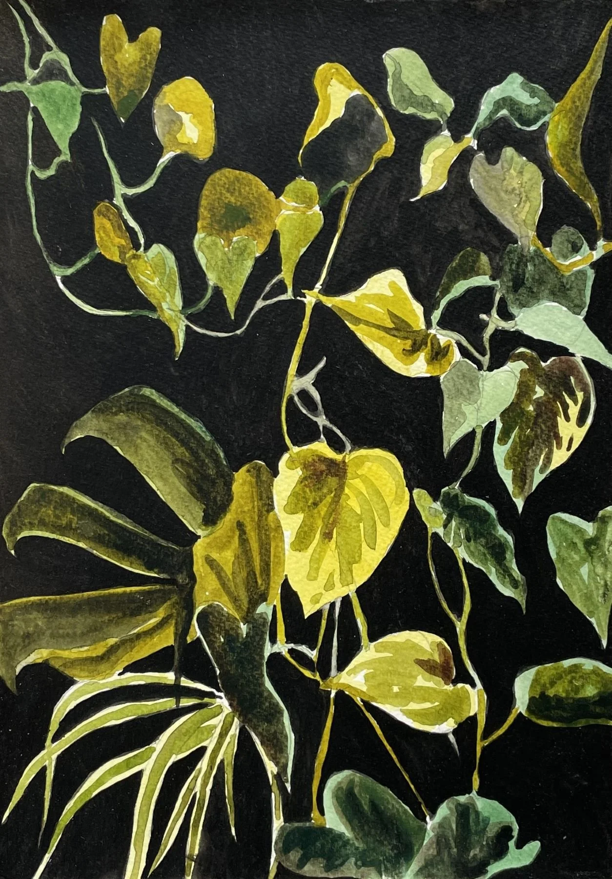  Vines  Watercolour and watercolour ink on paper SIZE