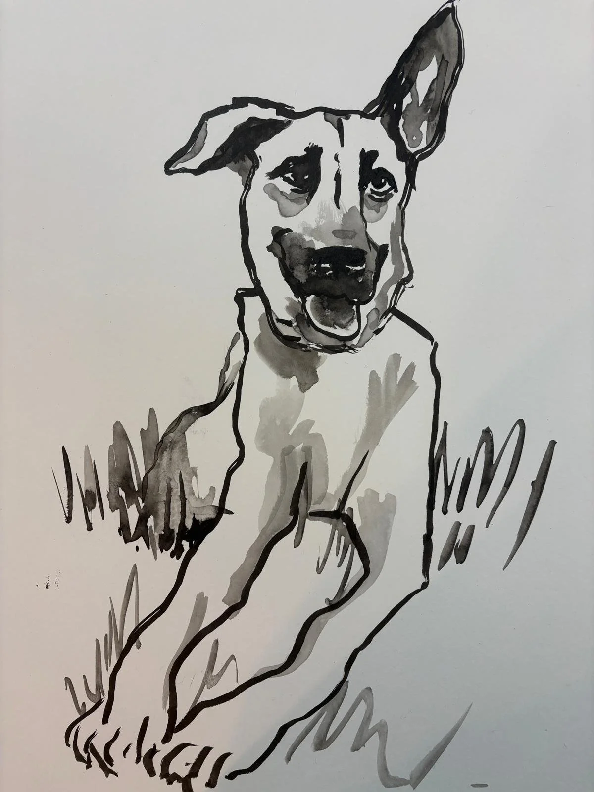 Singapore special commission, ink on paper