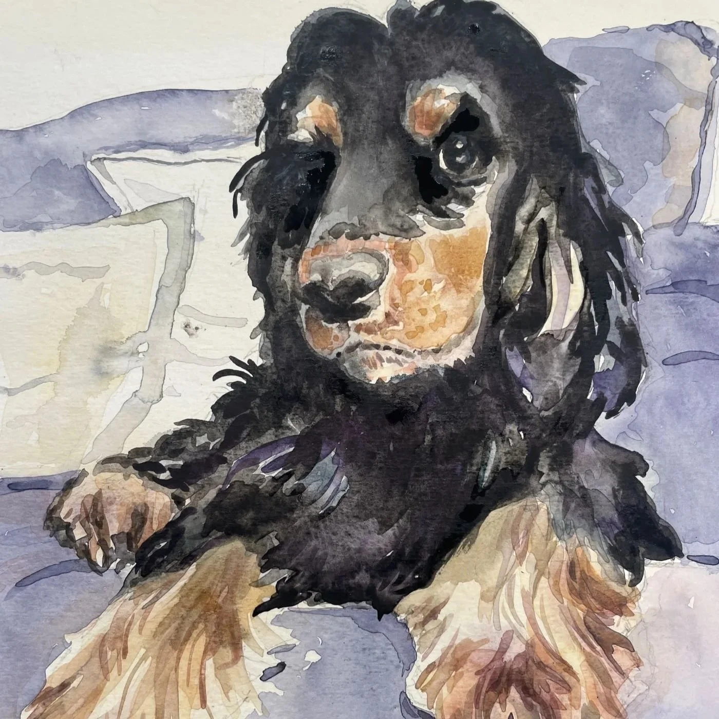 Cocker spaniel commission, watercolour on paper