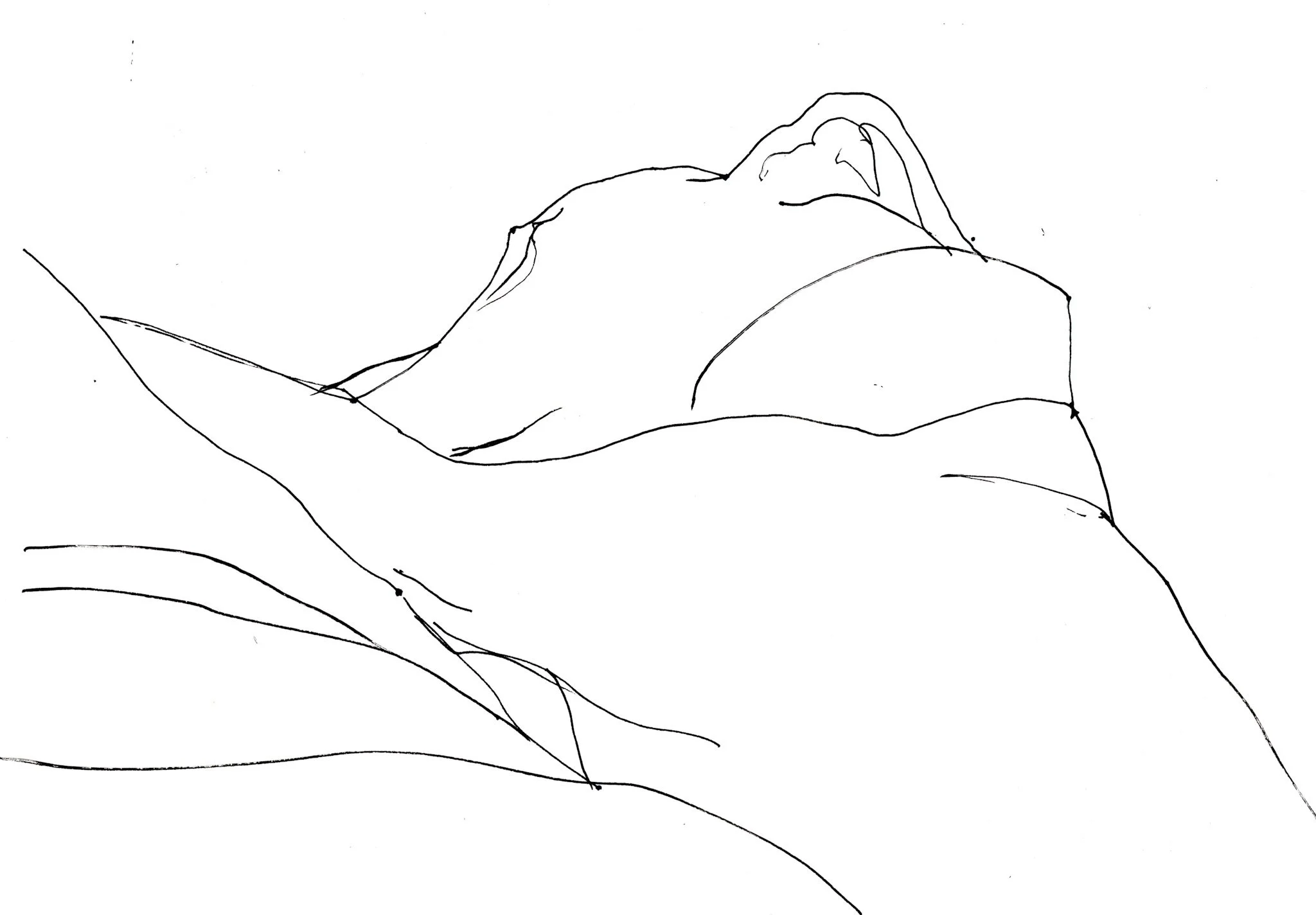  "Stretch"   Ink on paper  A4 