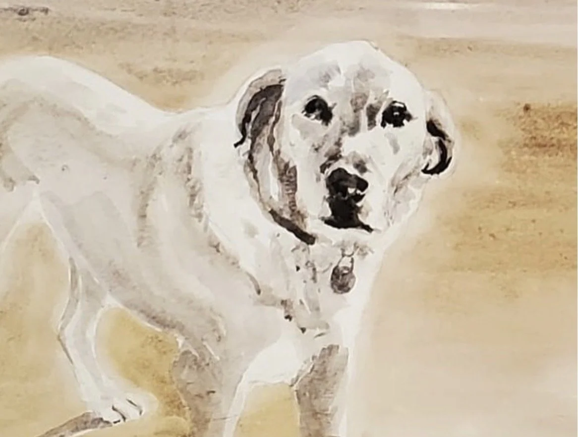 Golden labrador commission, watercolour on paper