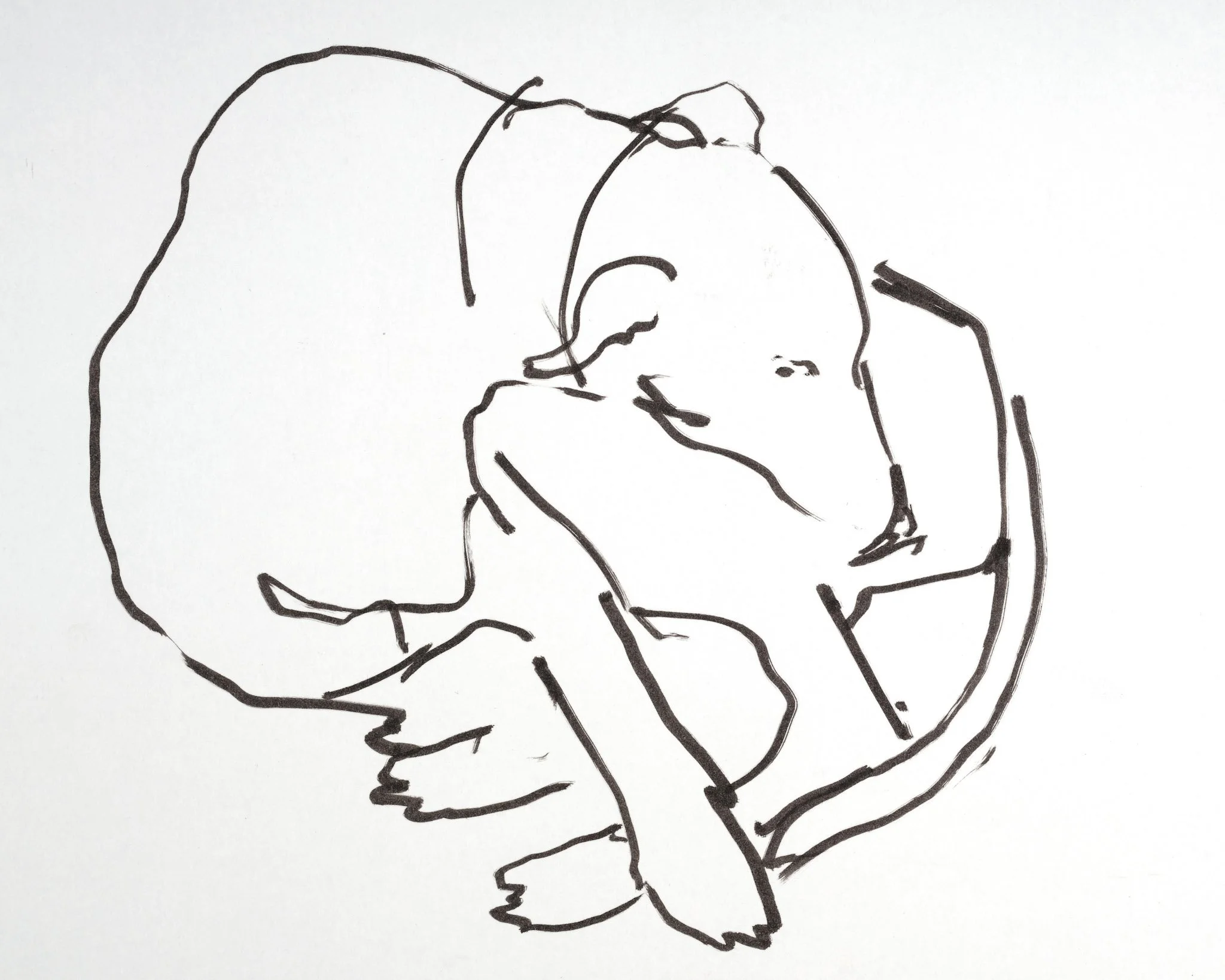  "Slumber"   Ink on paper  A4 