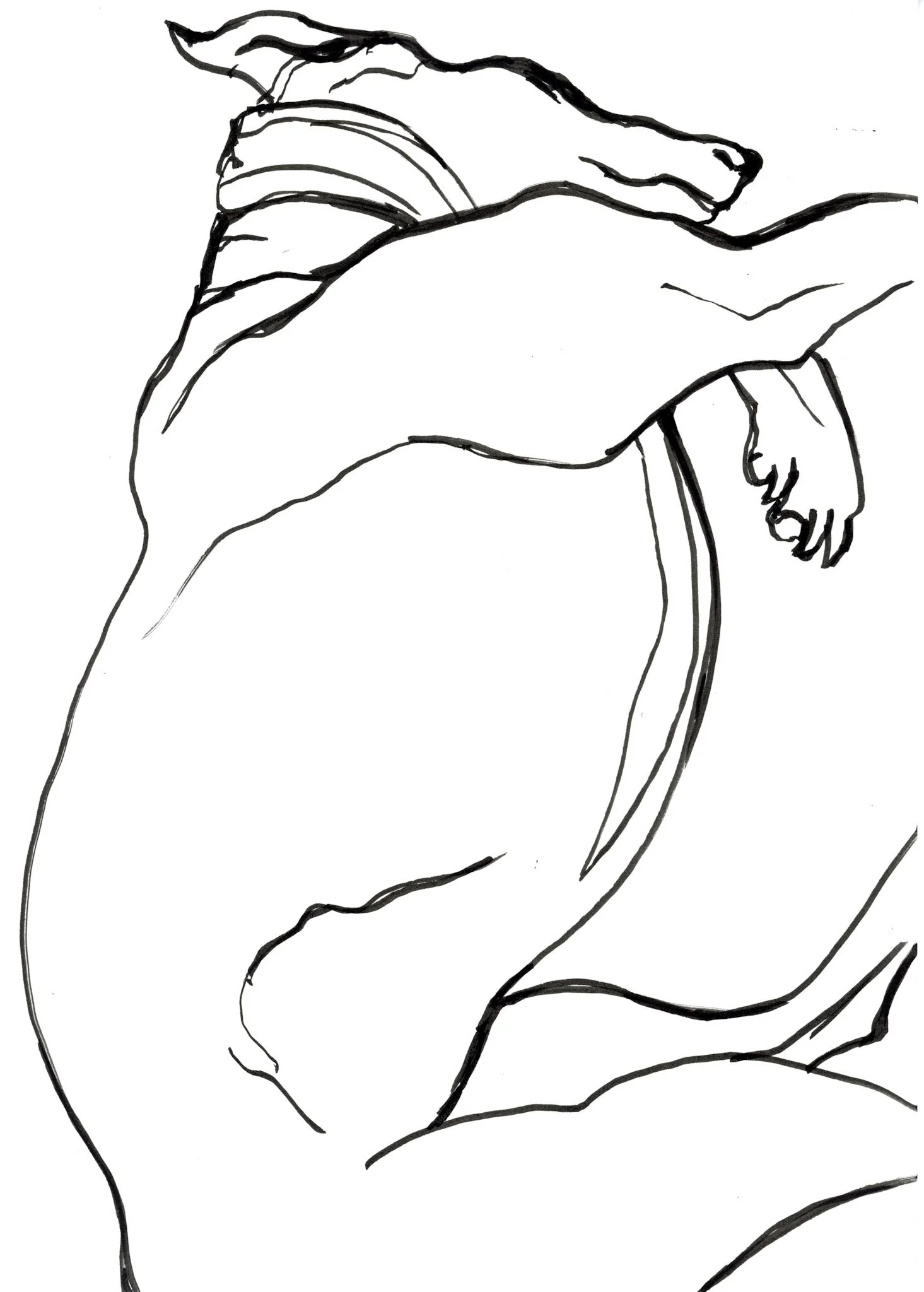  "Afternoon Nap (ii)"   MED  A4 SOLD