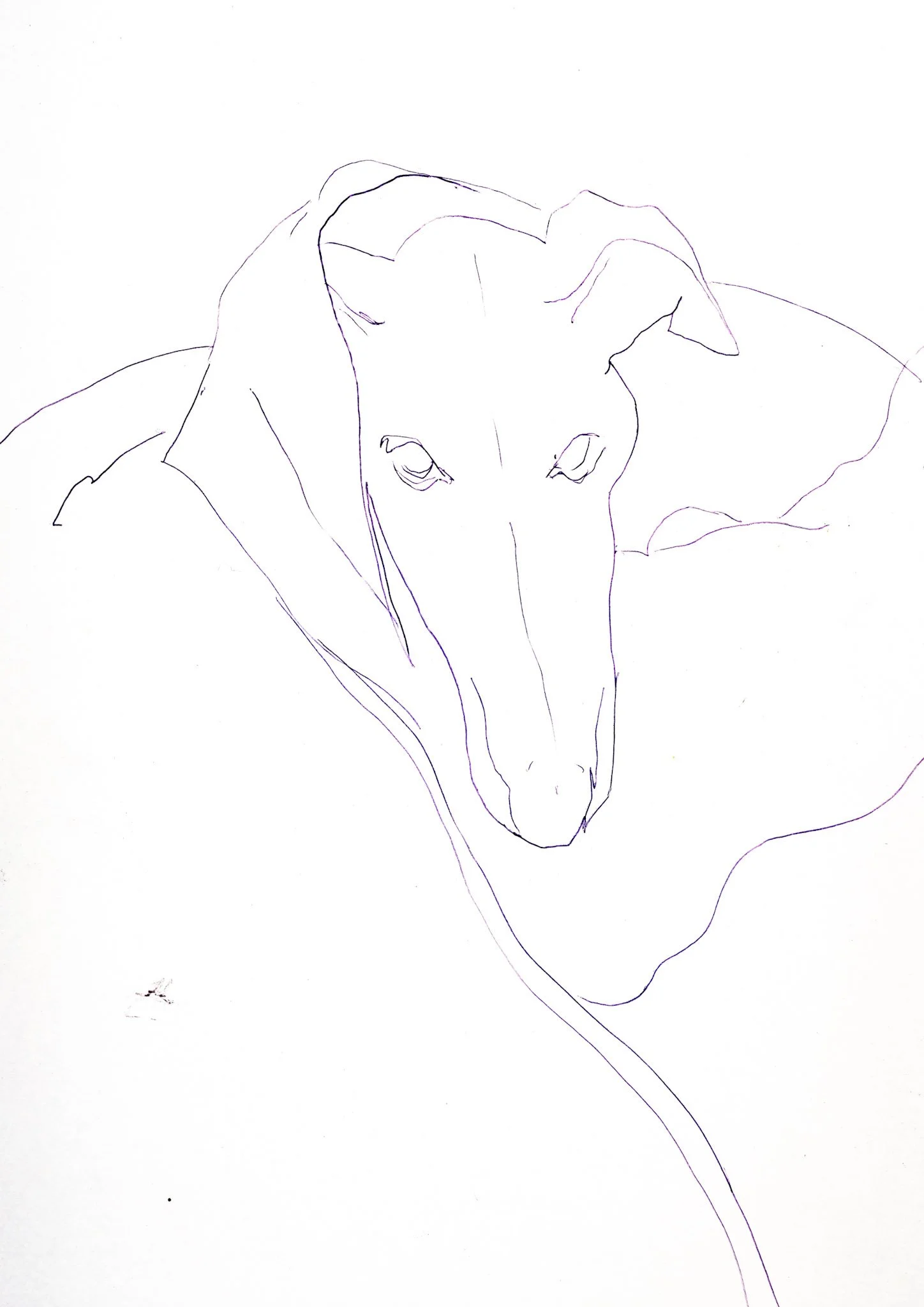  "Diva"   Ink on paper  A4 