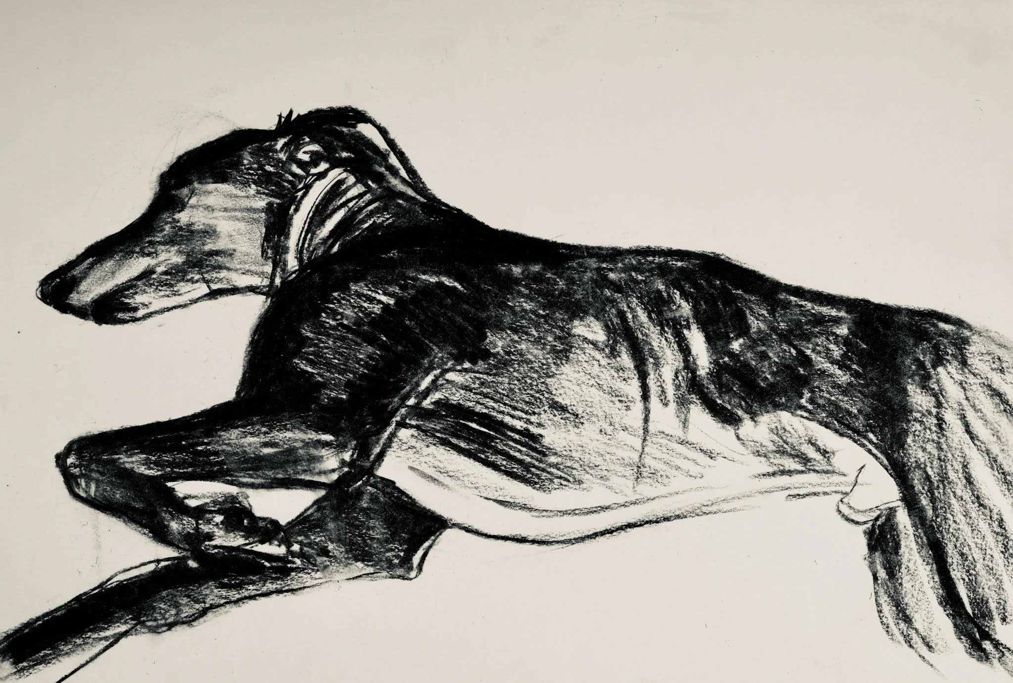 Black and white sketch of a dog resting on its side with its head down and one paw raised, drawn with bold, expressive strokes.
