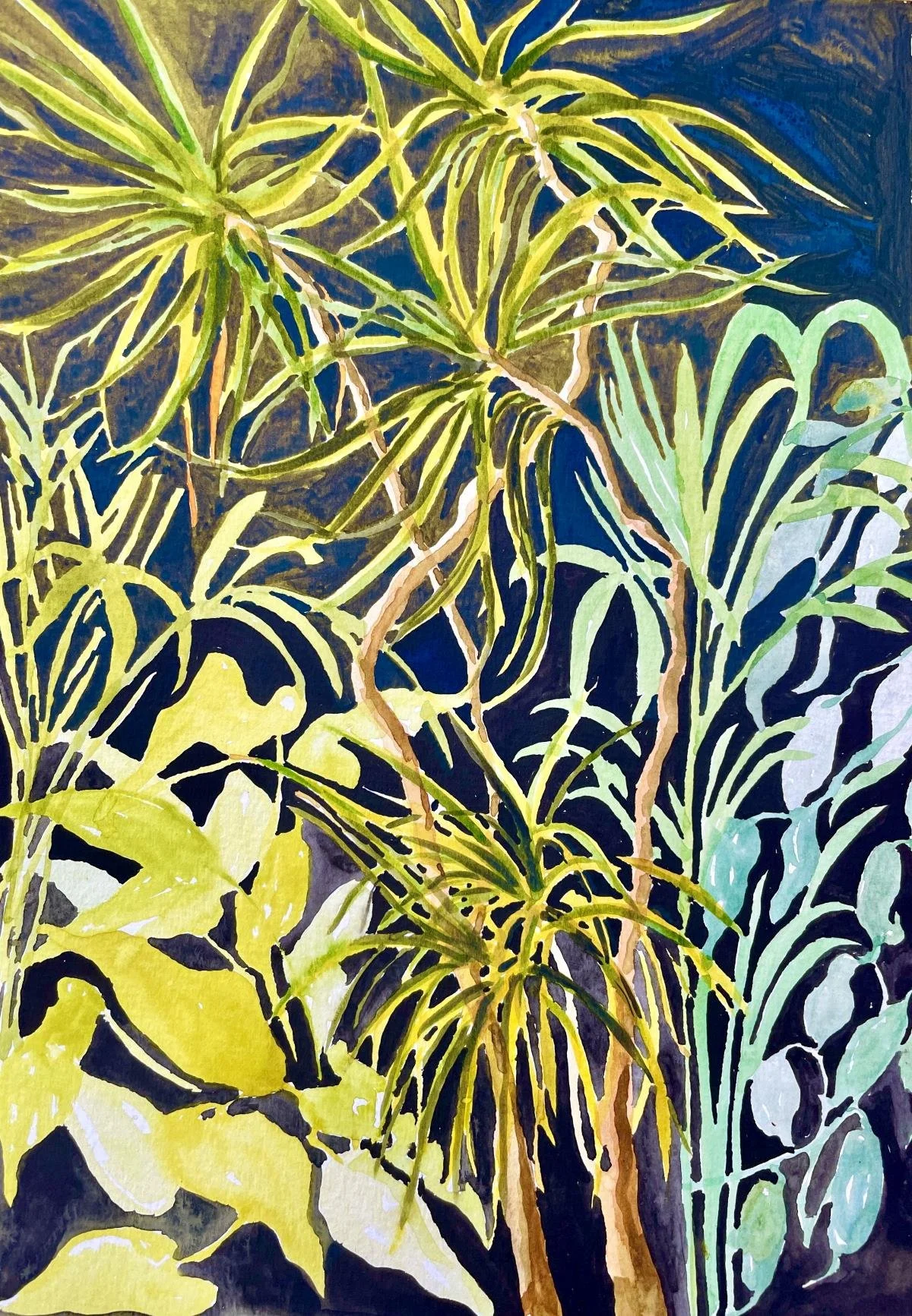  House plants, entangled  Watercolour and watercolour ink, mounted SIZE SOLD