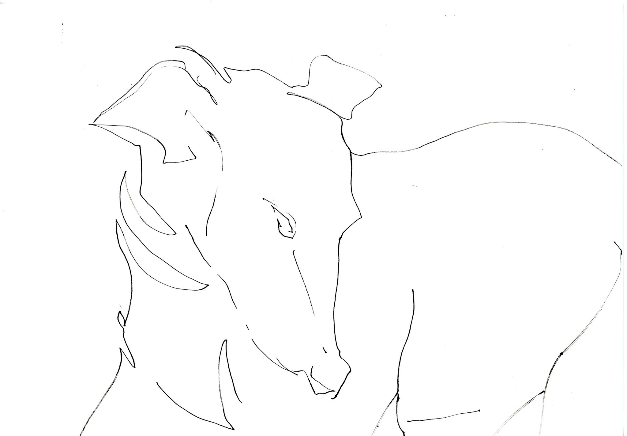  "Contemplative Hound"   Ink on paper  A4 