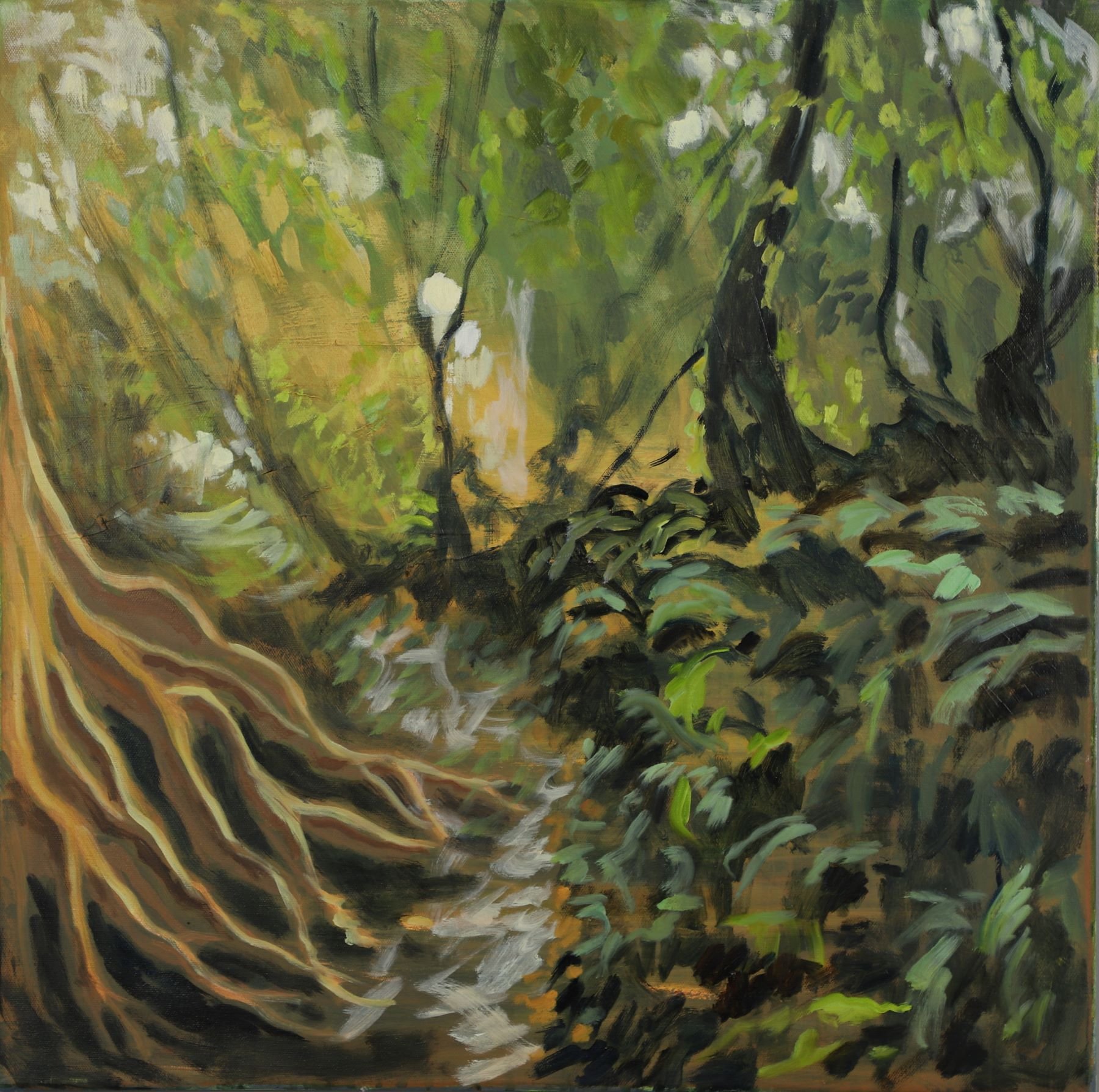 Jungles and Tropical Plants