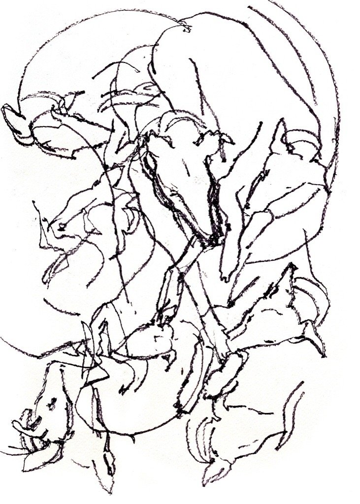 Image (70).jpg