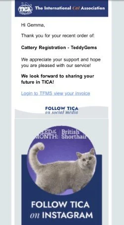 Email from the International Cat Association addressed to Gemma, thanking her for her recent cat registration order of a British Shorthair named TeddyGems, with a reminder to follow TICA on social media and a referral to view the invoice.