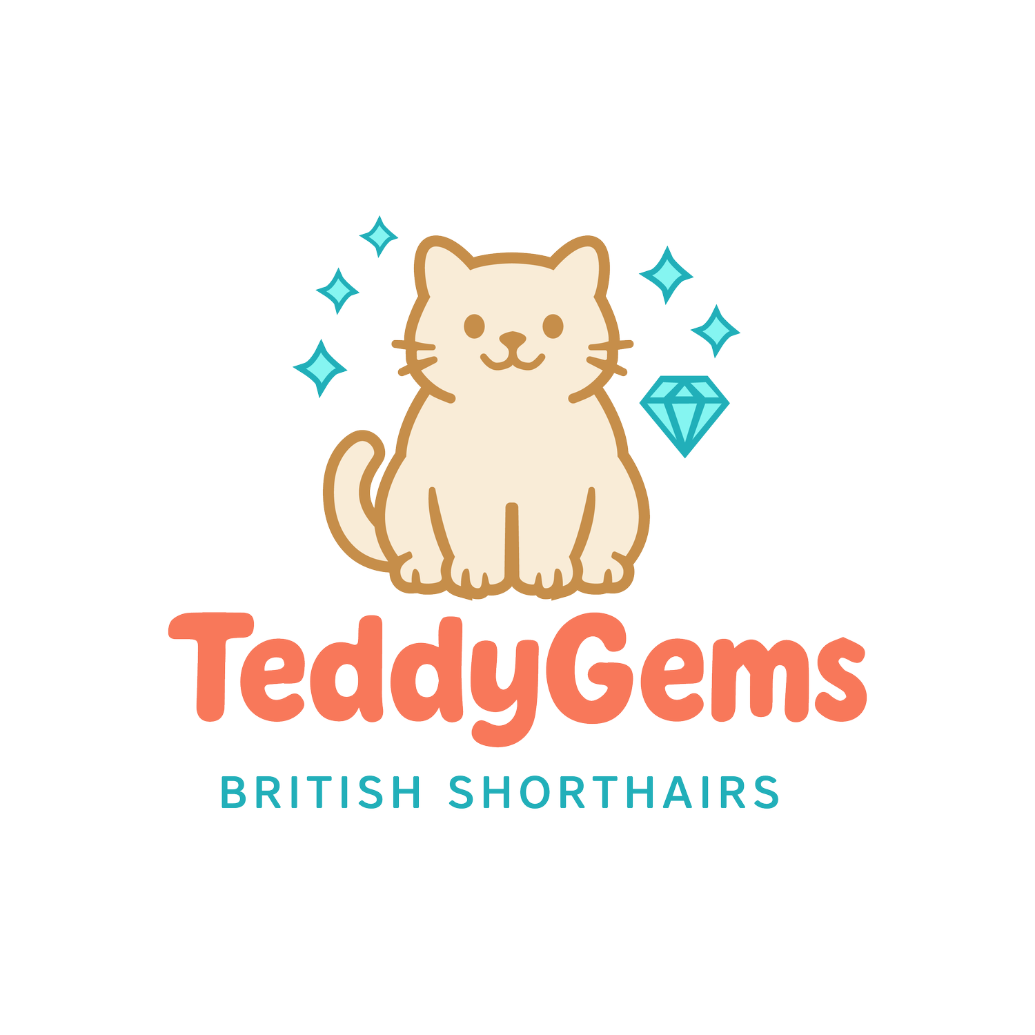 TeddyGems British Shorthairs | GCCF &amp; TICA Registered Breeder of British Shorthair Kittens | Based in Barnsley, South Yorkshire 