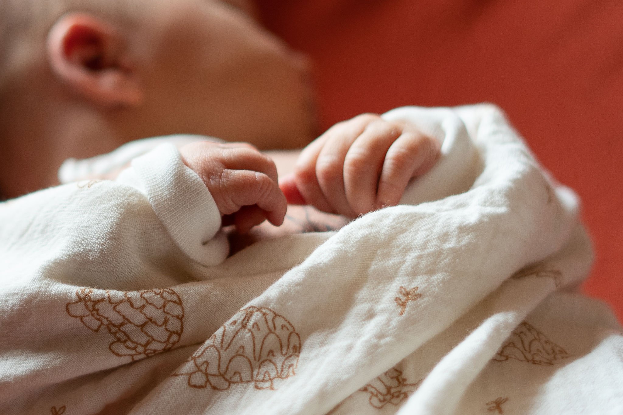 Close-up of a newborn baby's hand gripping an adult's finger, with the baby's face slightly blurred in the background.