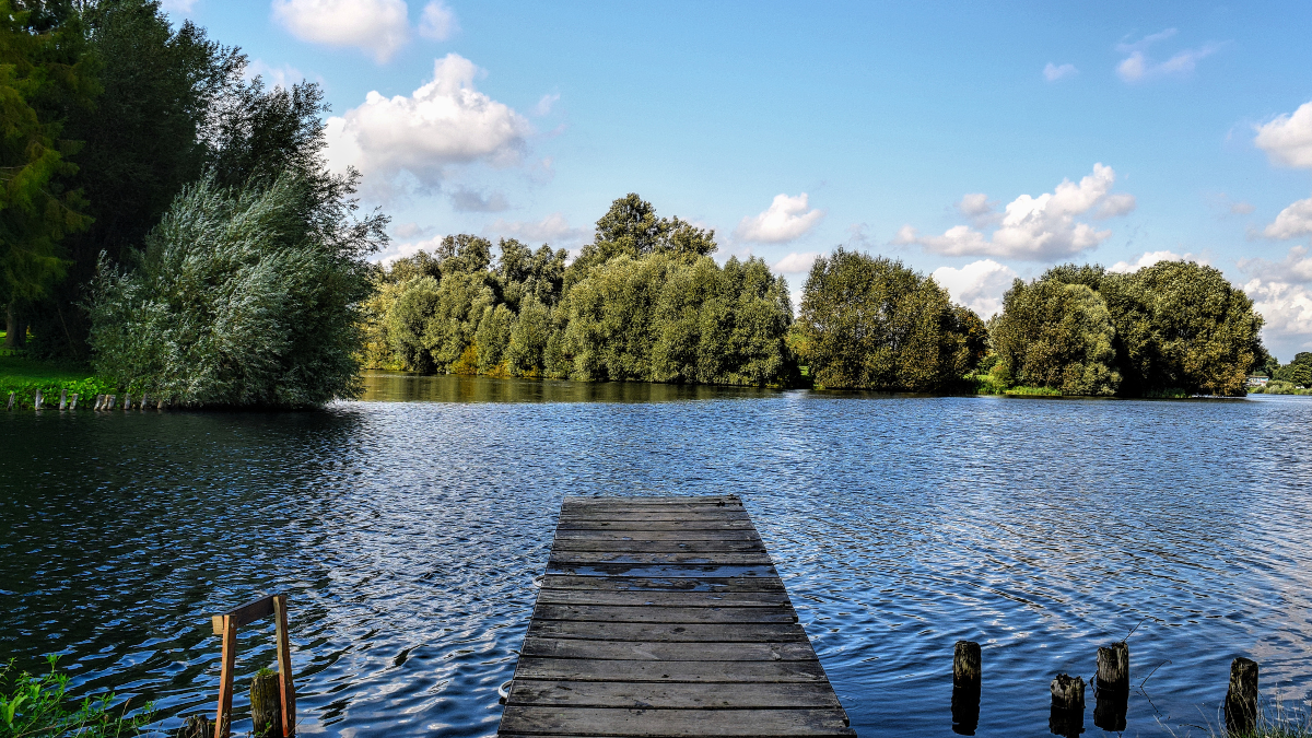 Blick auf einen kleinen Steg, der in einen Fluss führt, umgeben von grünen Bäumen und einer blauen, bewölkten Himmel.