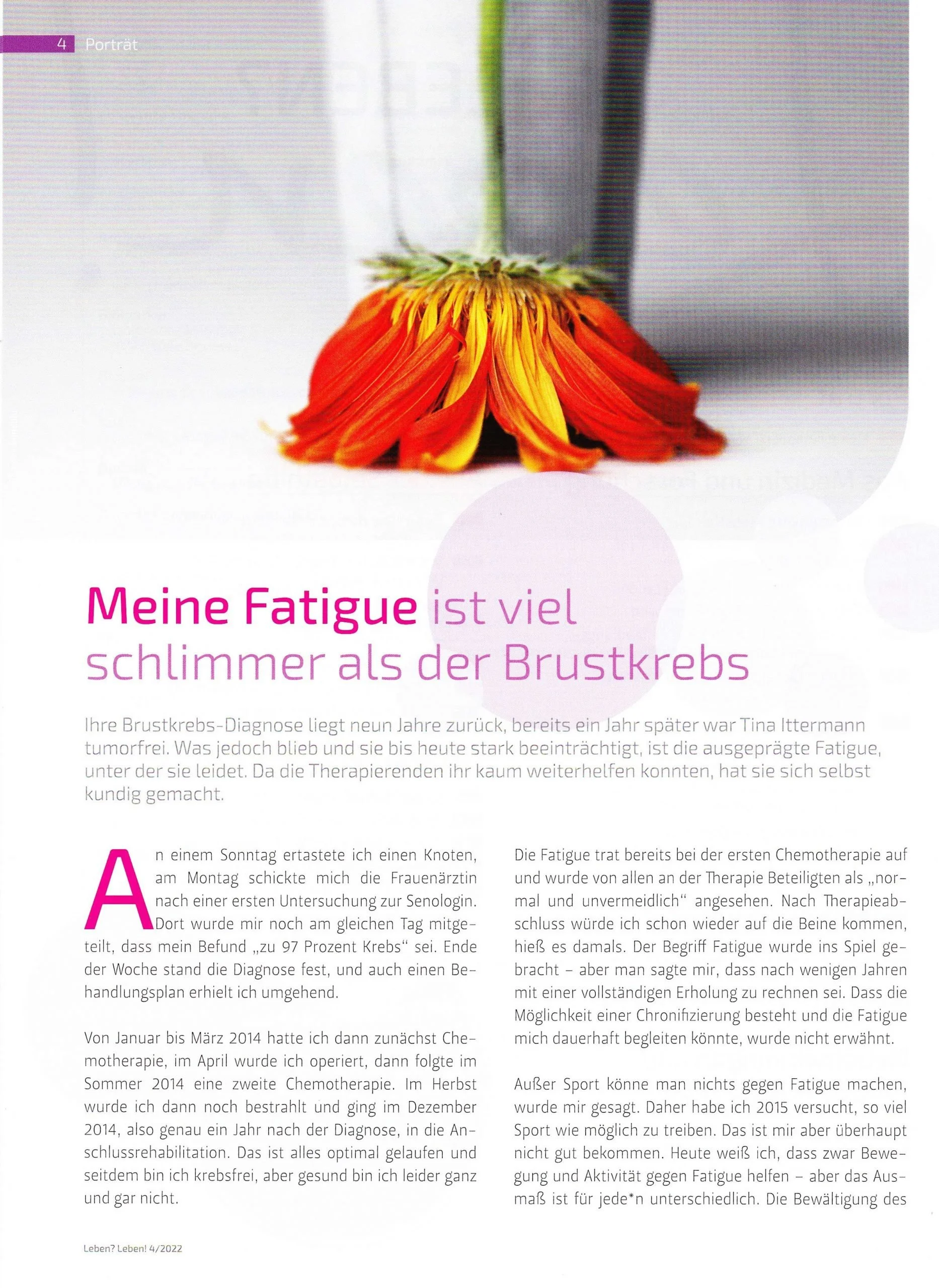 Ein Bild mit einer roten und gelben Blume in einem Glasvasen auf einem weißen Hintergrund, daneben ein Text auf Deutsch.