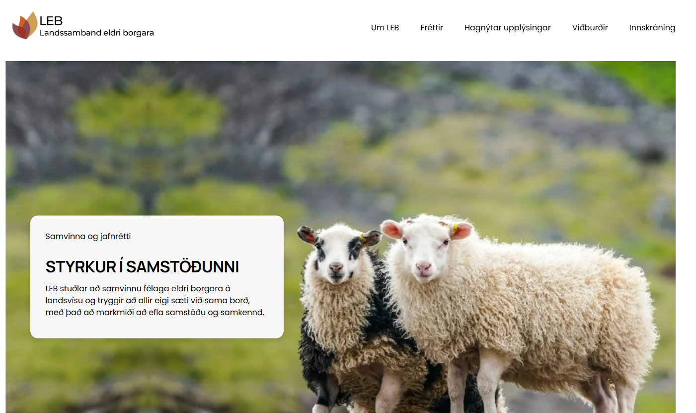 Landssamband eldri borgara - heimasíða - yfirfærsla í squarespace
