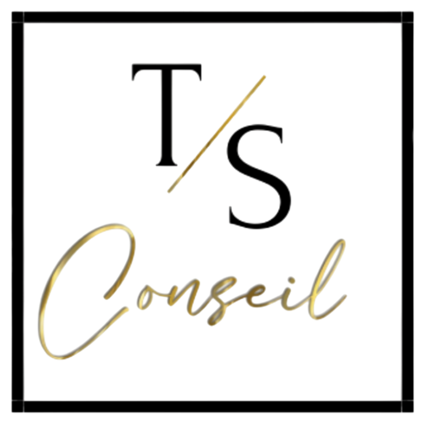 TS Conseil